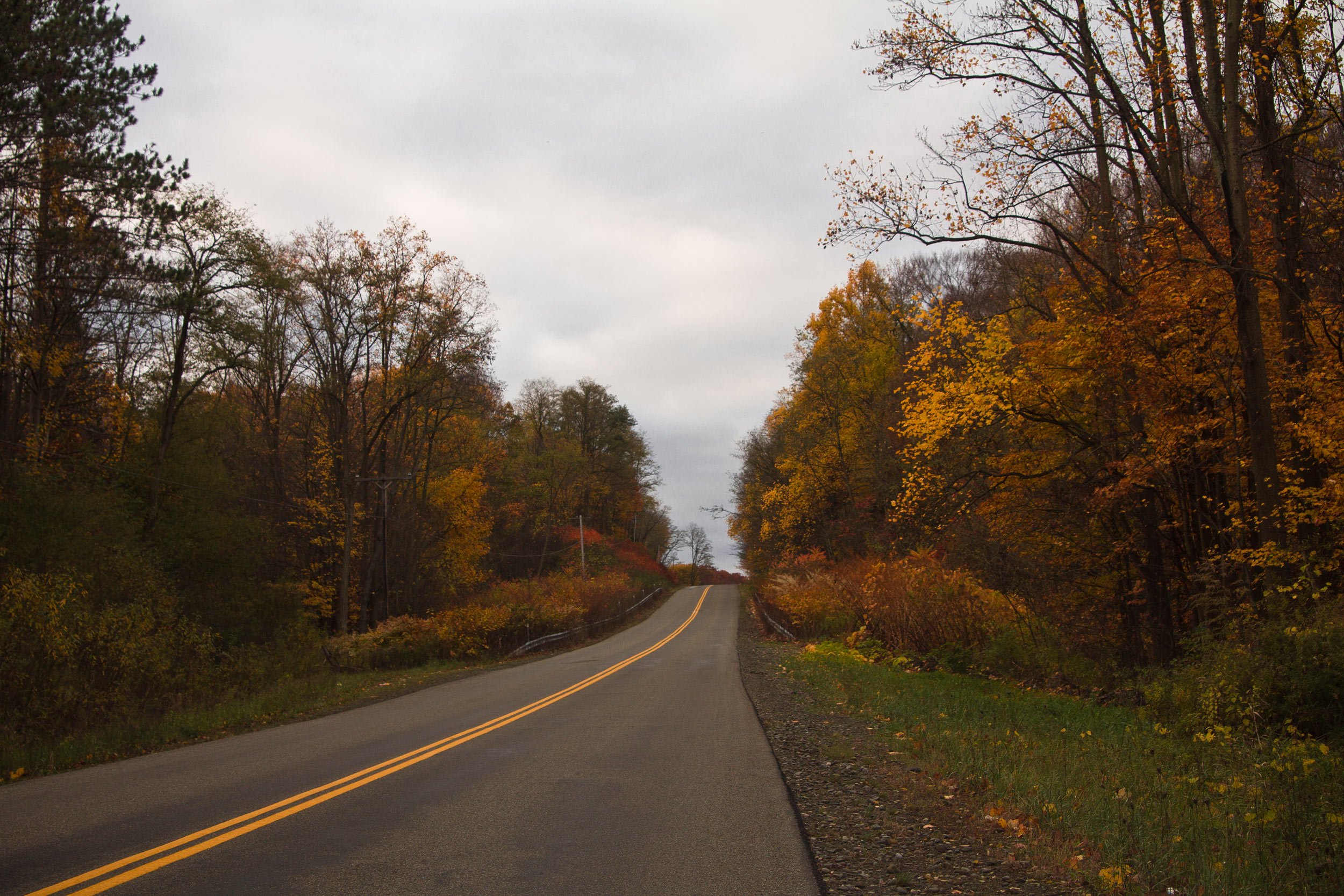 country-road-new-york-state-fall
