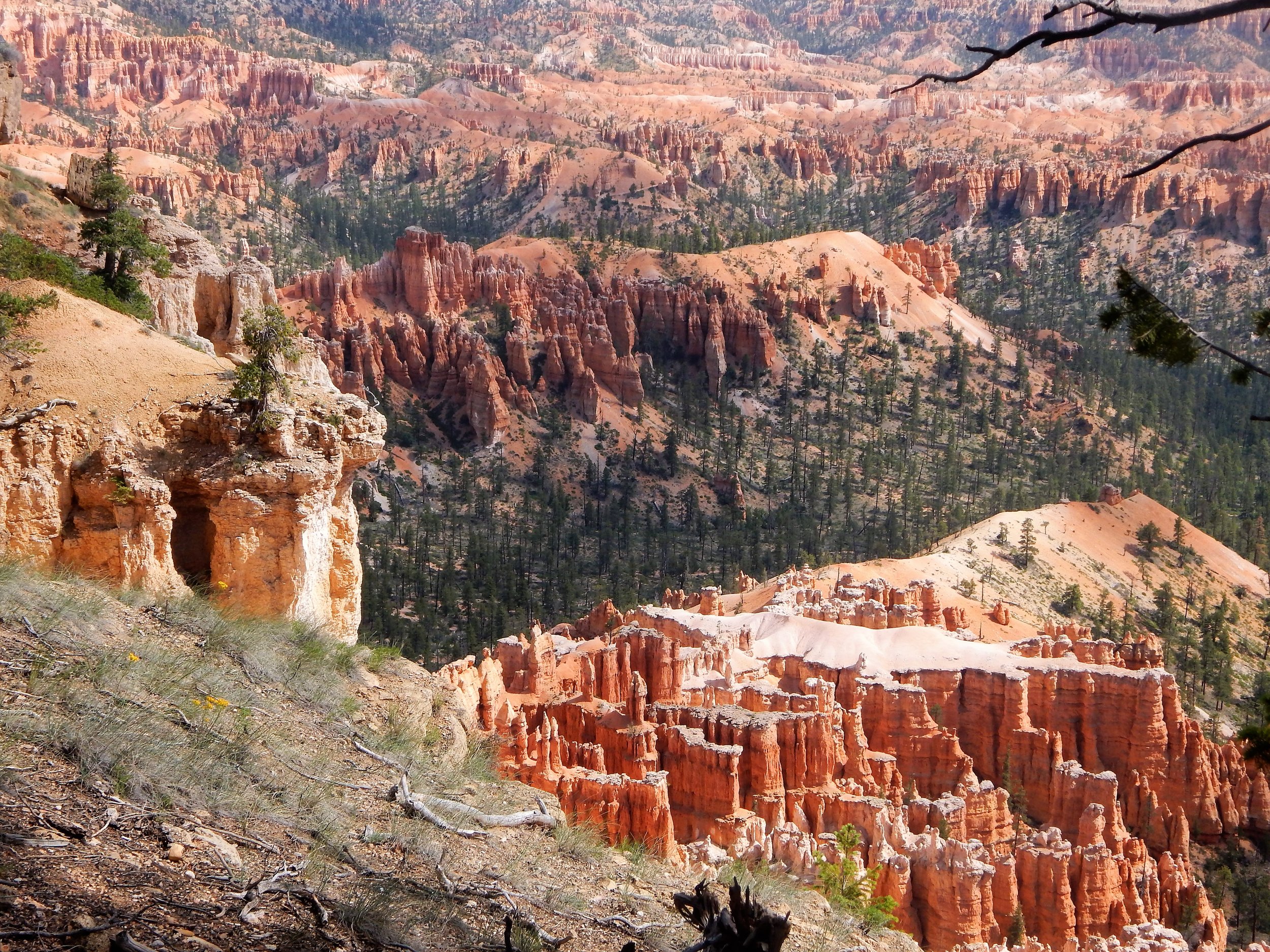 bryce-canyon-national-park