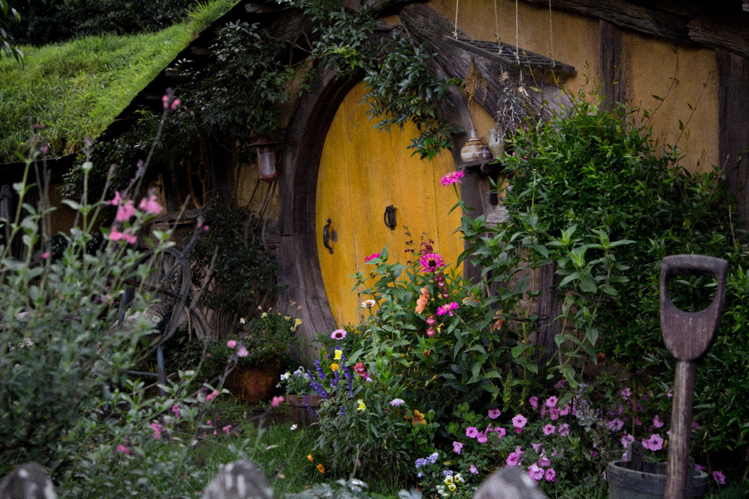 a-hobbit-hole-in-hobbiton