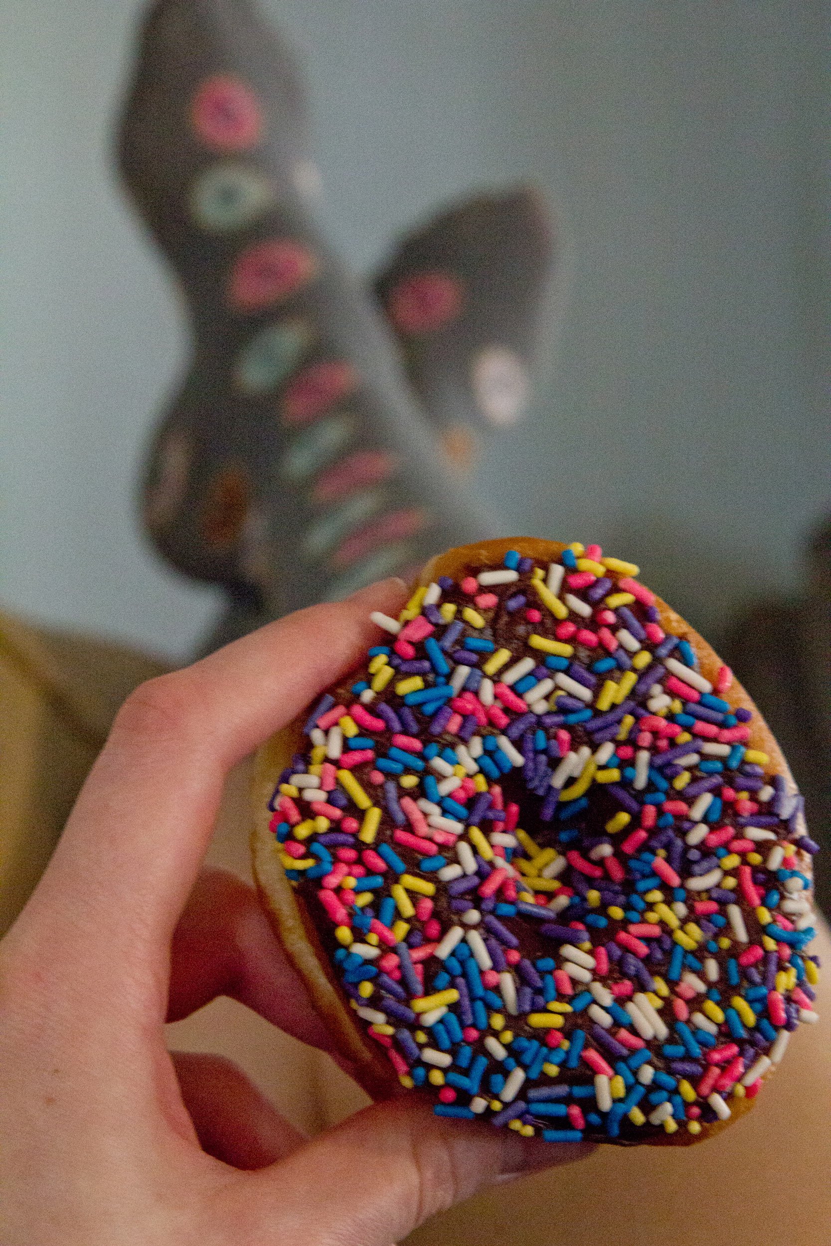 sprinkle-donut-with-donut-socks-in-the-background