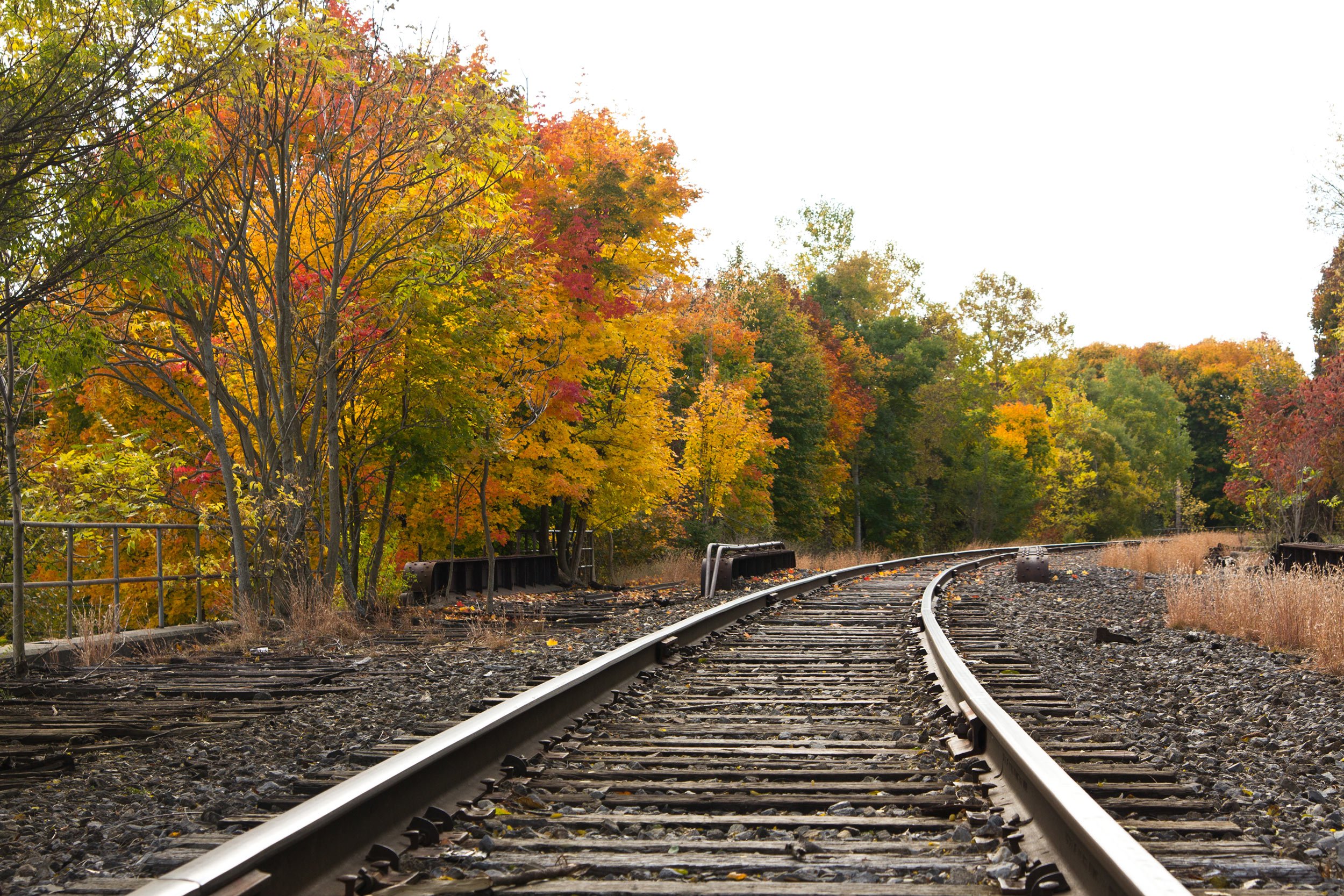 fall-foliage-along-train-tracks