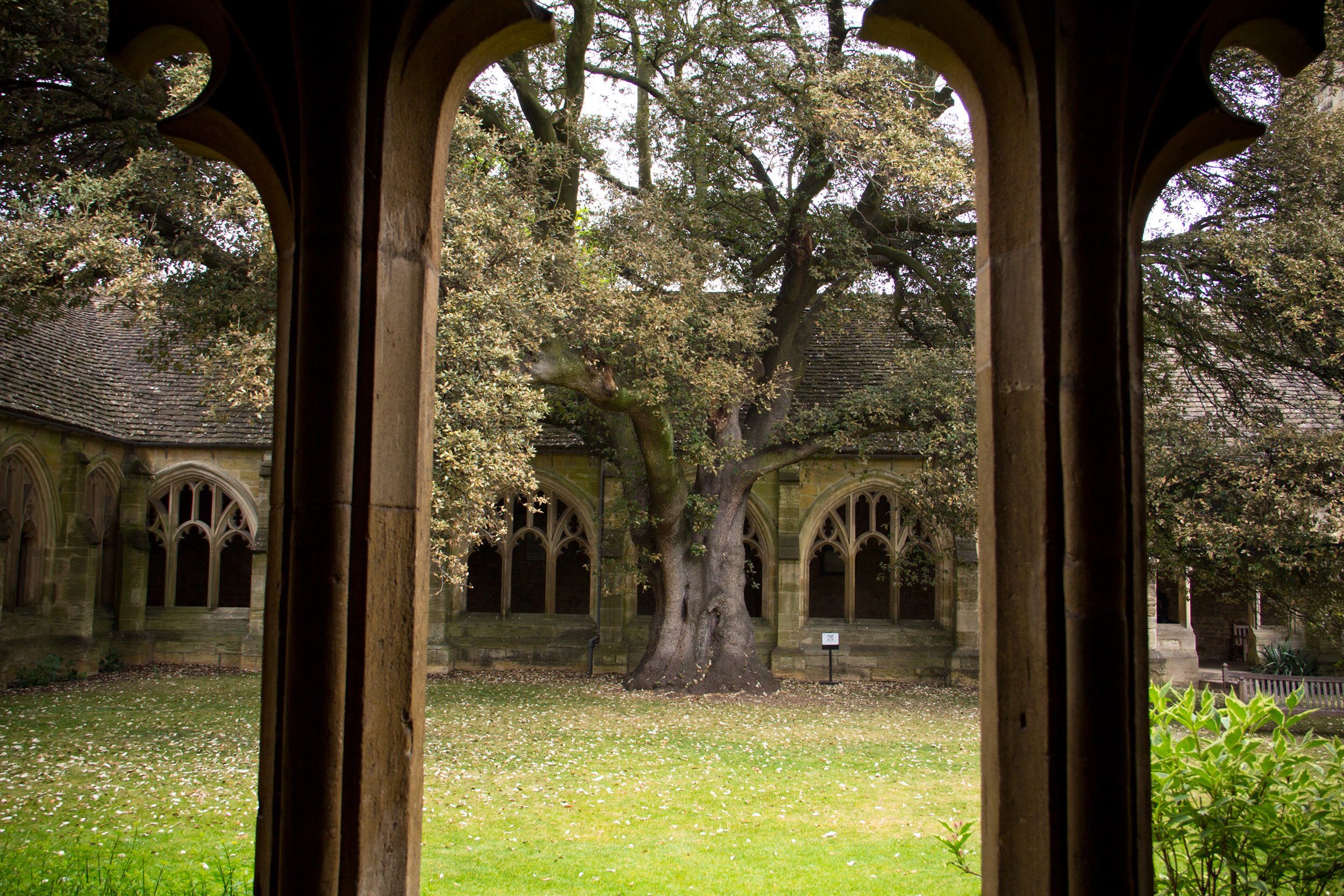 new-college-courtyard-tree-of-harry-potter-scene-in-oxford