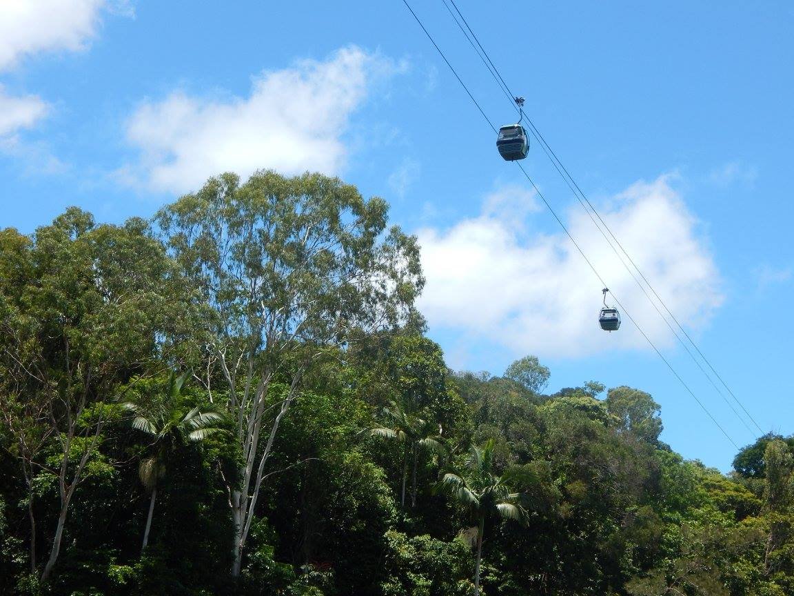 skyrail-gondola-from-cairns-to-kuranda-australia