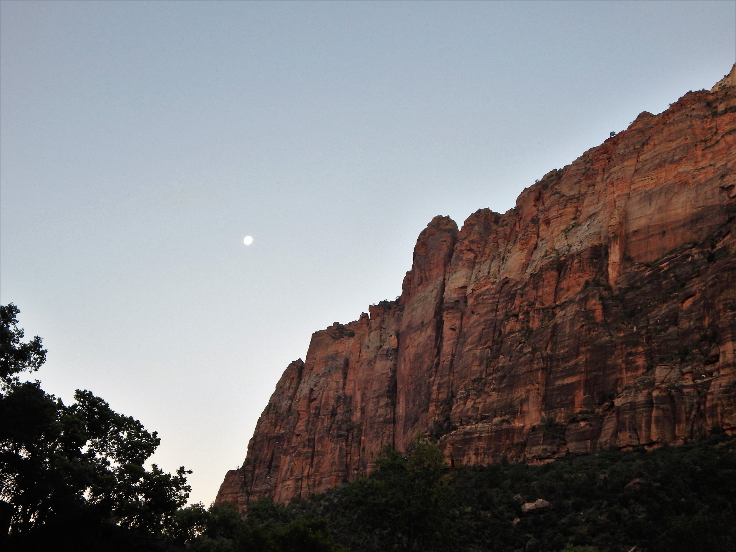 zion-national-park-at-night