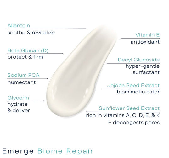 Emerge Biome Repair04.png