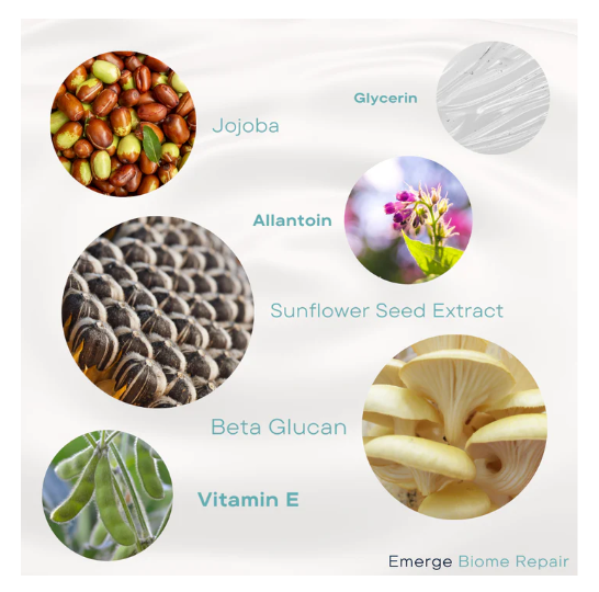 Emerge Biome Repair03.png