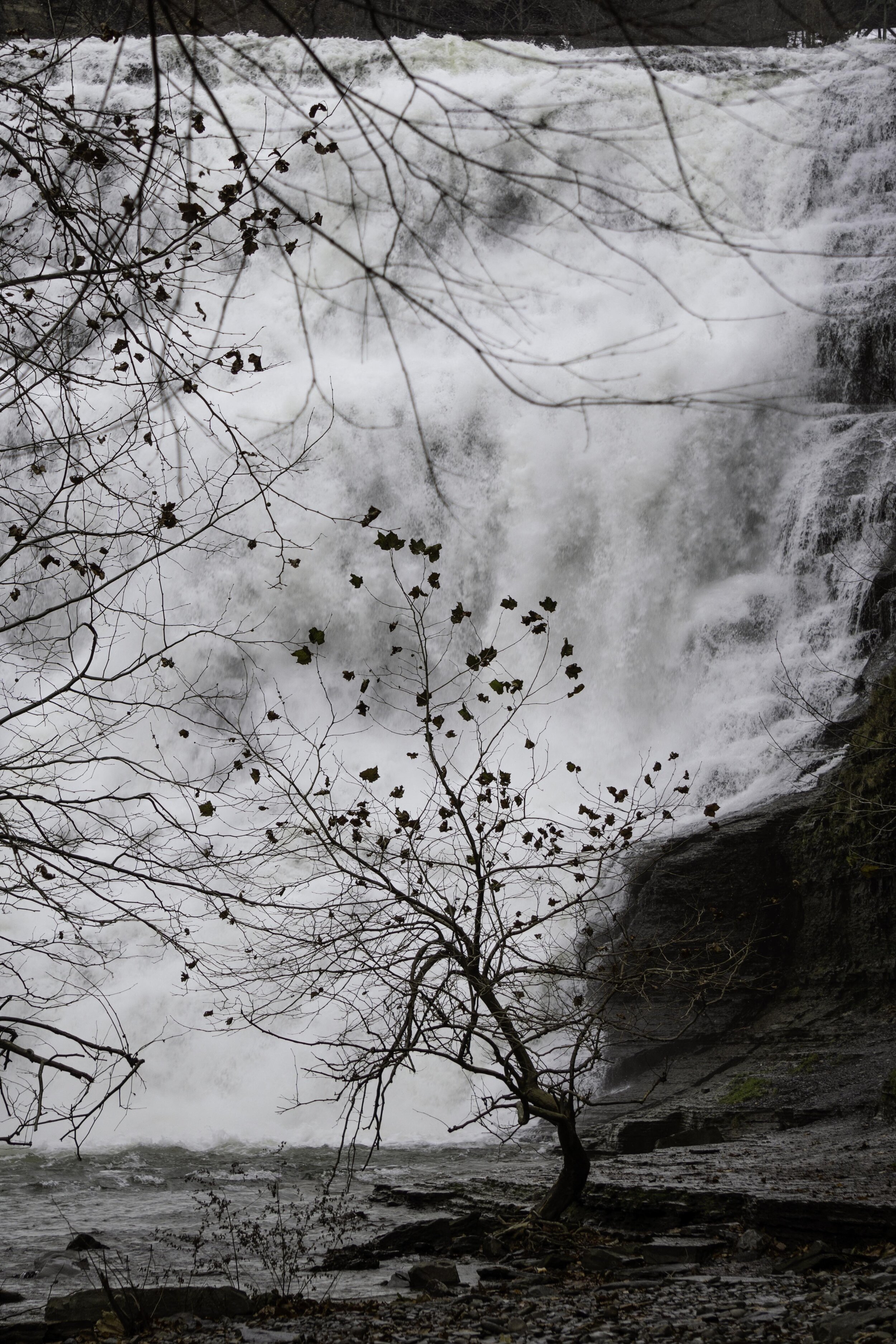  Ithaca, NY 