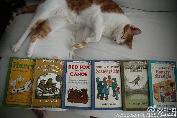 培養孩子的英文耳朵，緣起