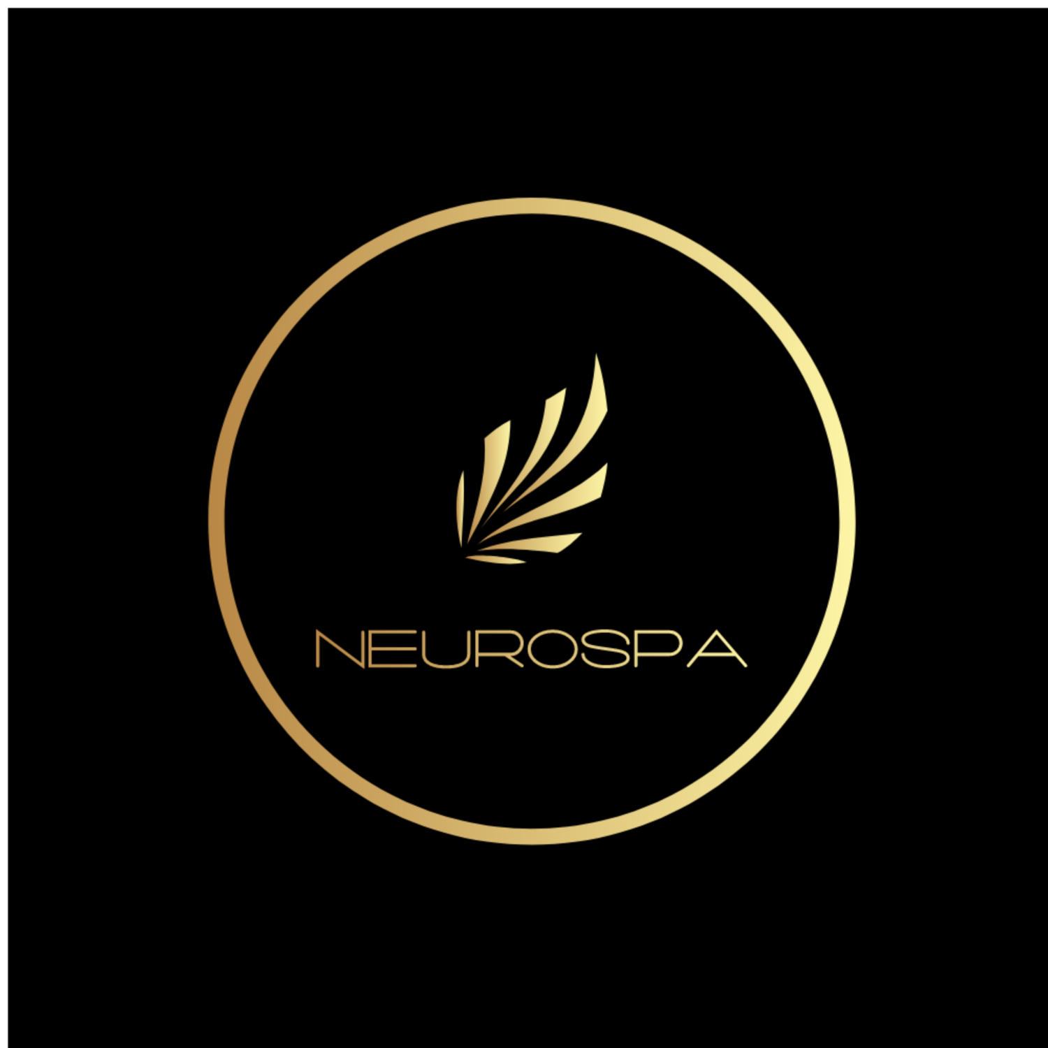 The NeuroSpa