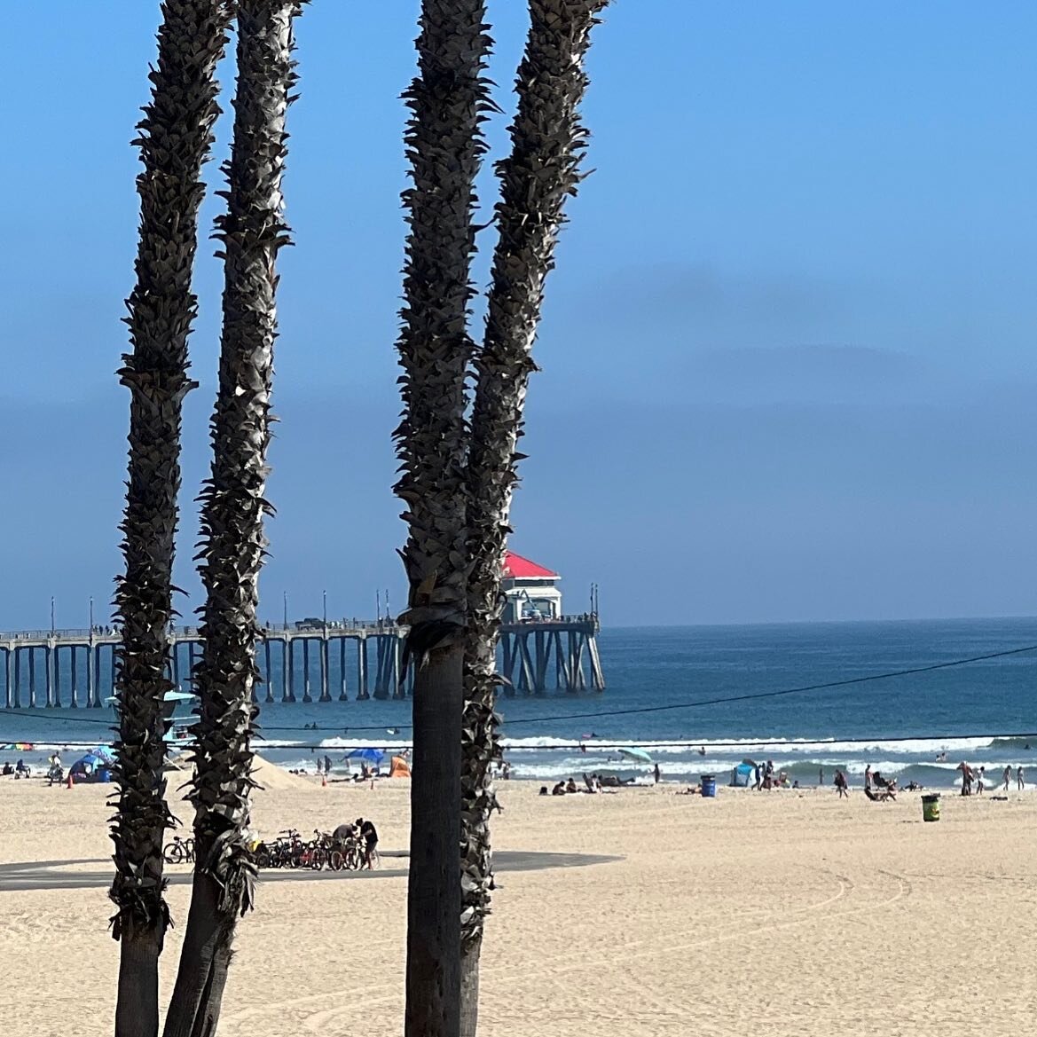 Perfect environment for some fun while working towards your goals. Who is ready for some beach training? .
.
.
#EmergeTraining #fitness #workout #gym #MobileTraining #training