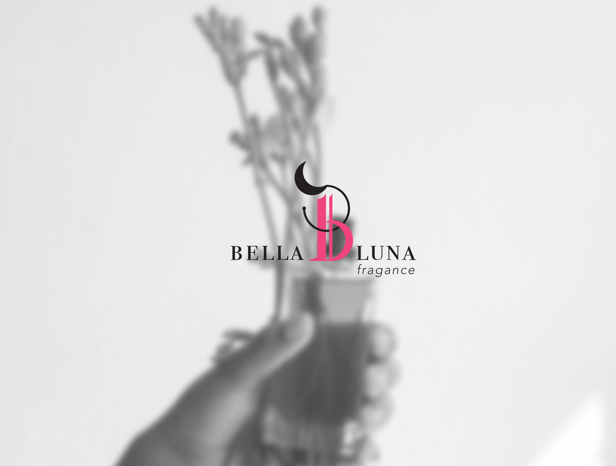 bella-luan-logo-bg.png.webp