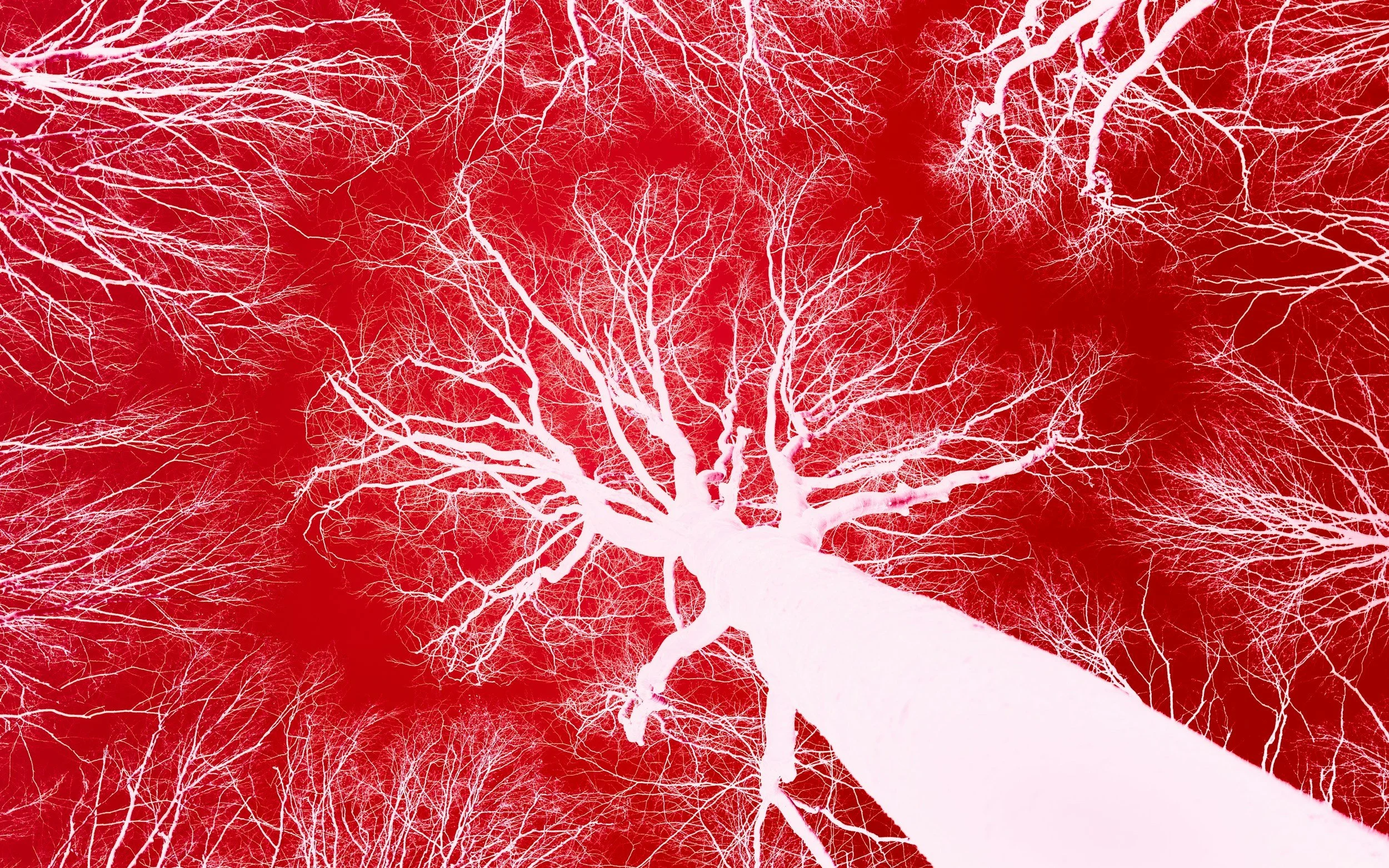 What’s up with your lymph system?