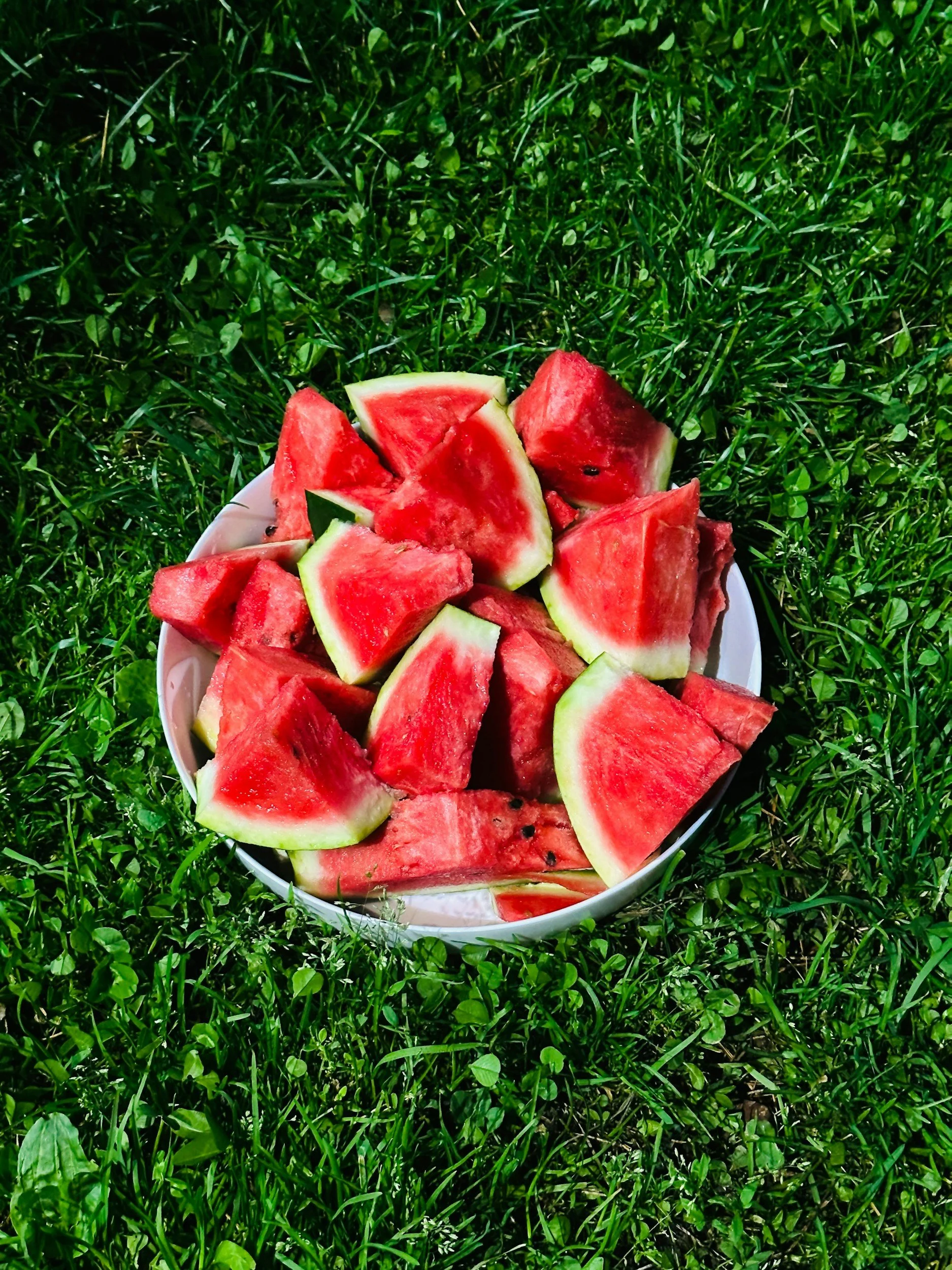 Watermelon Salad