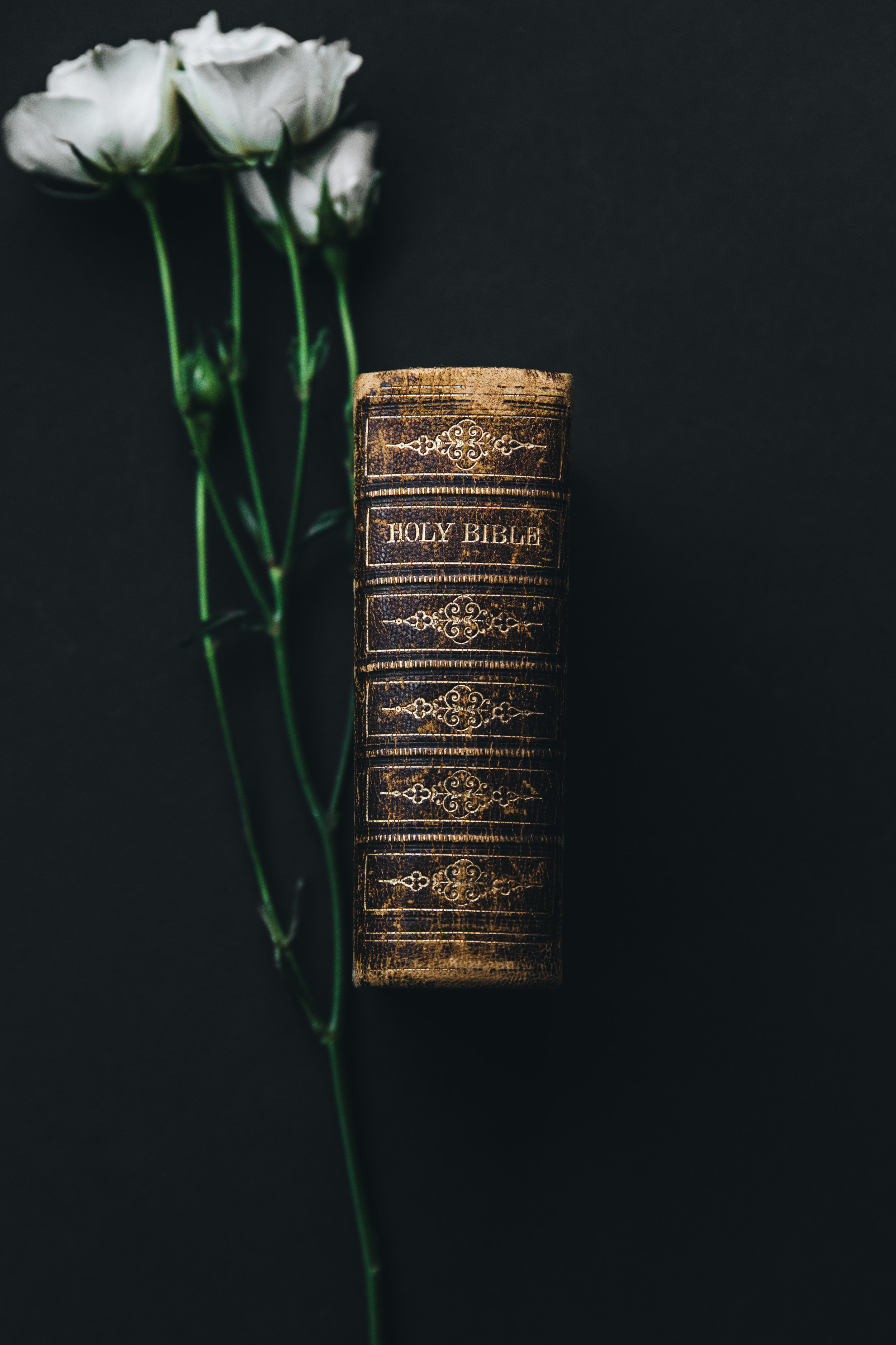 (POSTPONED) Membership Class