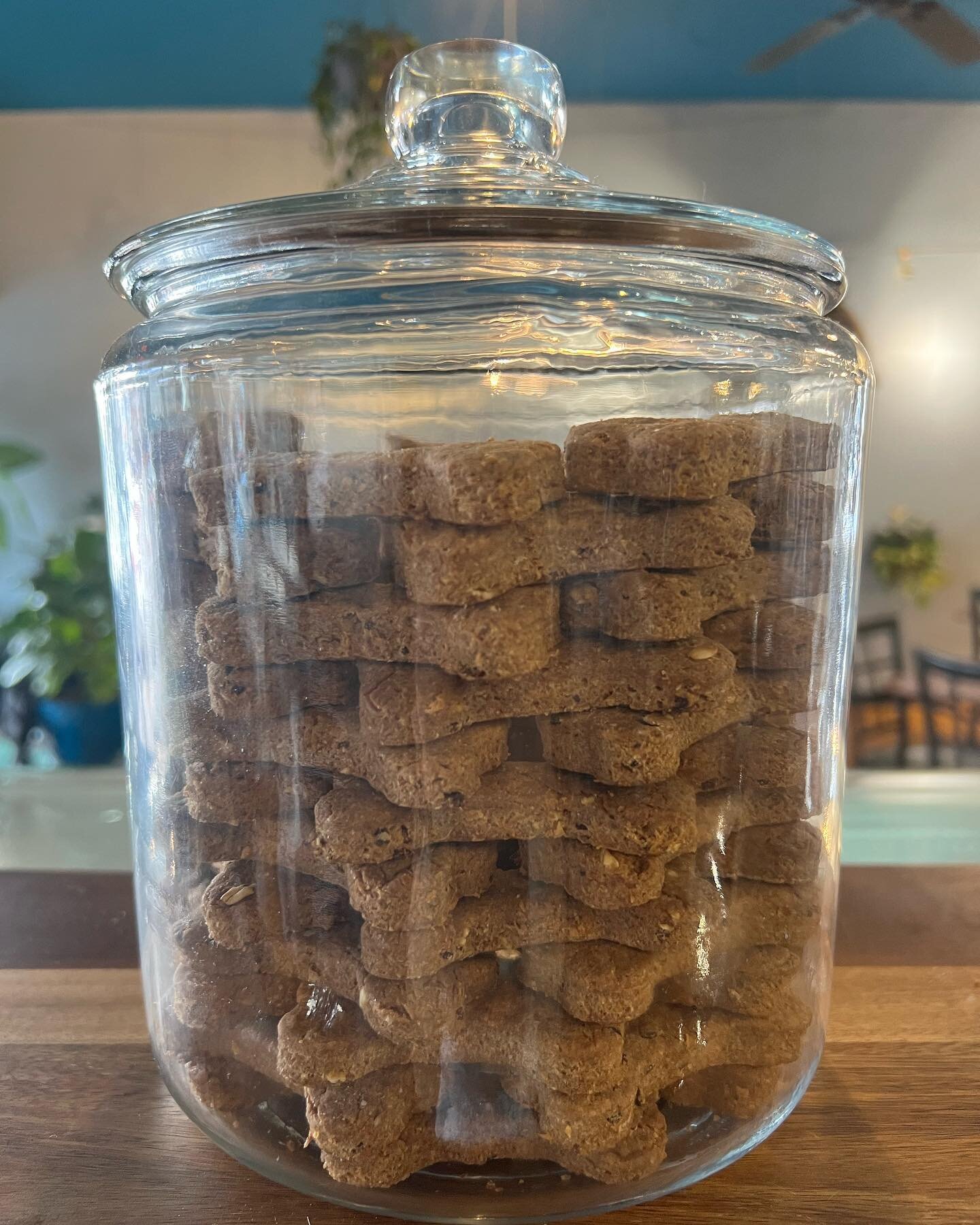 Don&rsquo;t forget to pick up a homemade dog treat for your favorite pooch while you&rsquo;re stocking up on bread! 🐾
.
.
.
.
#thewestend #westasheville #ashevillenc #breakfast #brunch #lunch #pastries #coffee #latte #latteart #appalachai #asheville