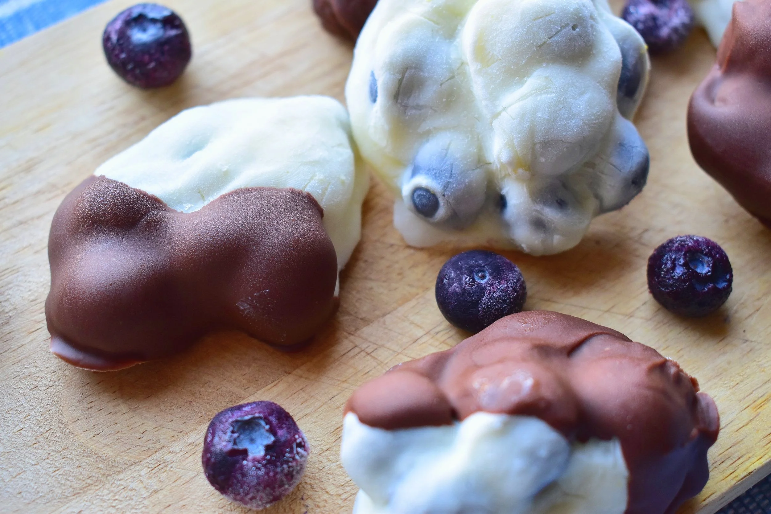 Frozen Blueberry Yogurt Bars 