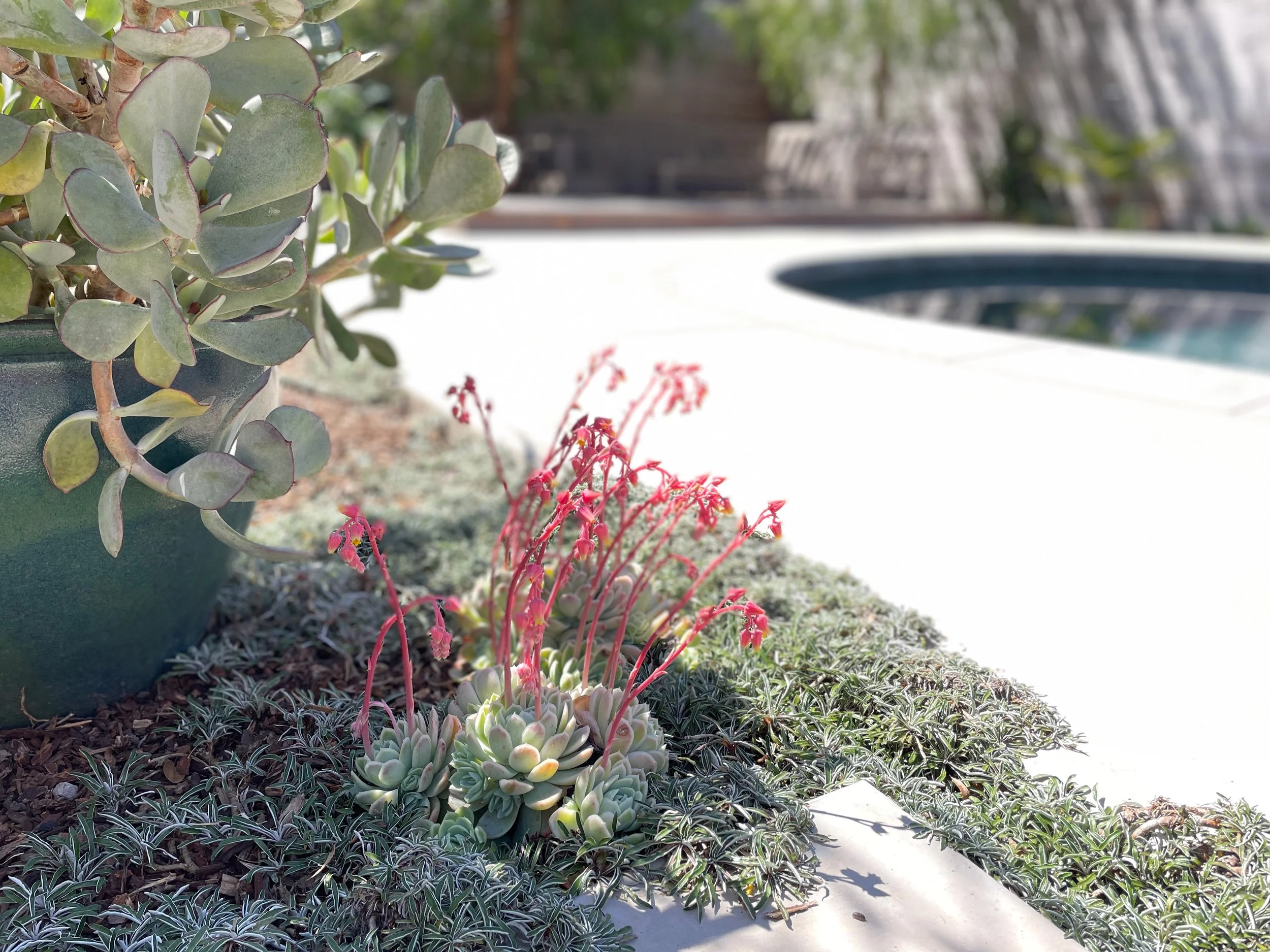 TerraLinda - 69.jpeg