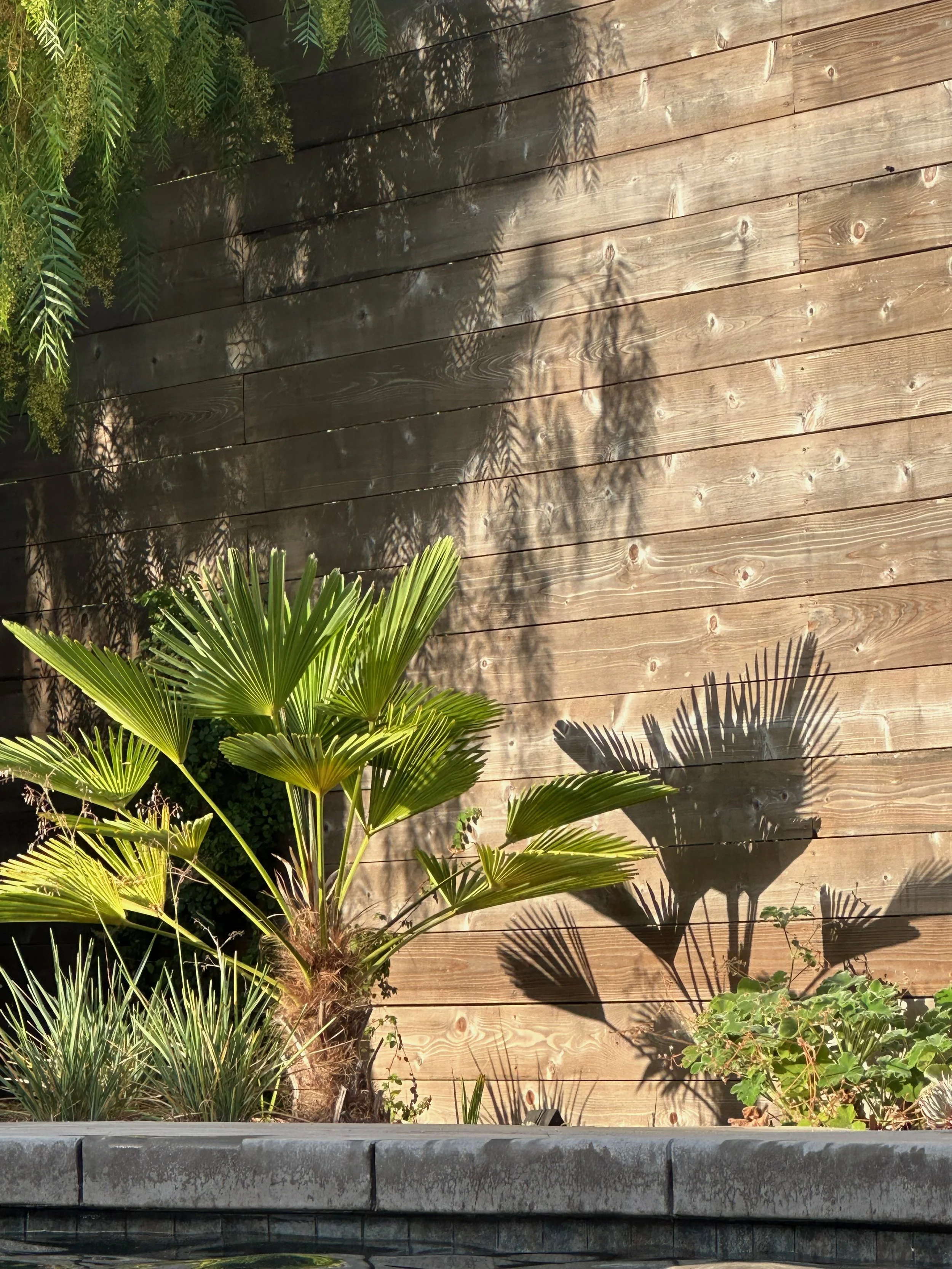 TerraLinda - 68.jpeg