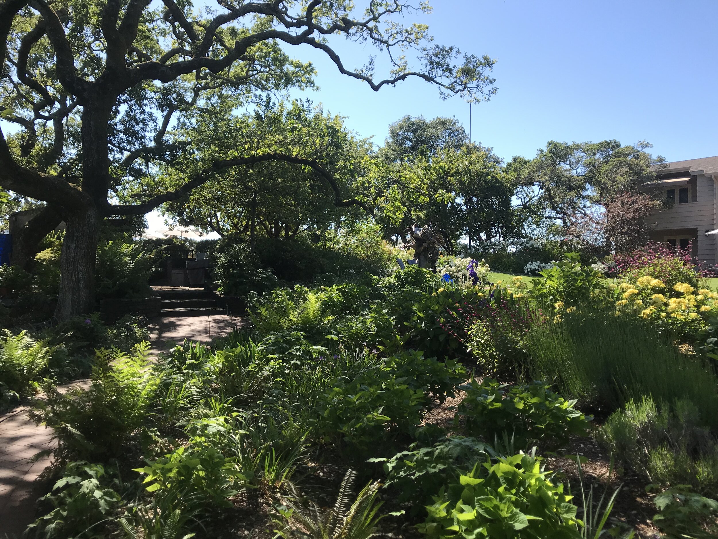 IMG_4519.jpeg