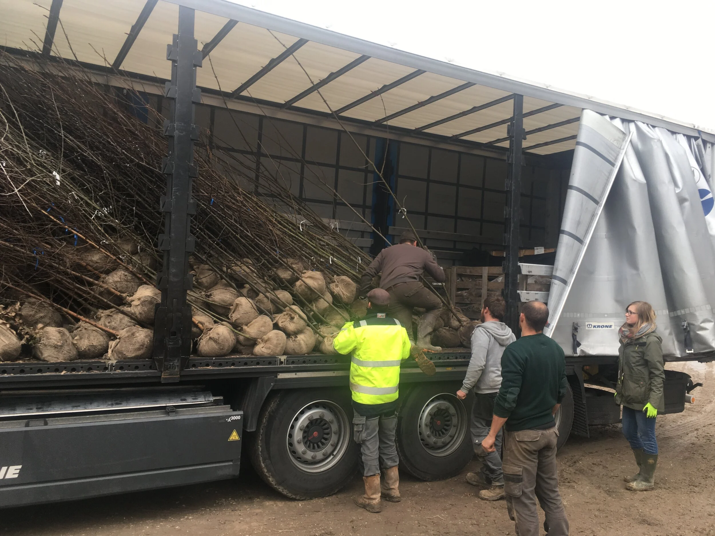 new2018-03-06 14.33.27.jpg