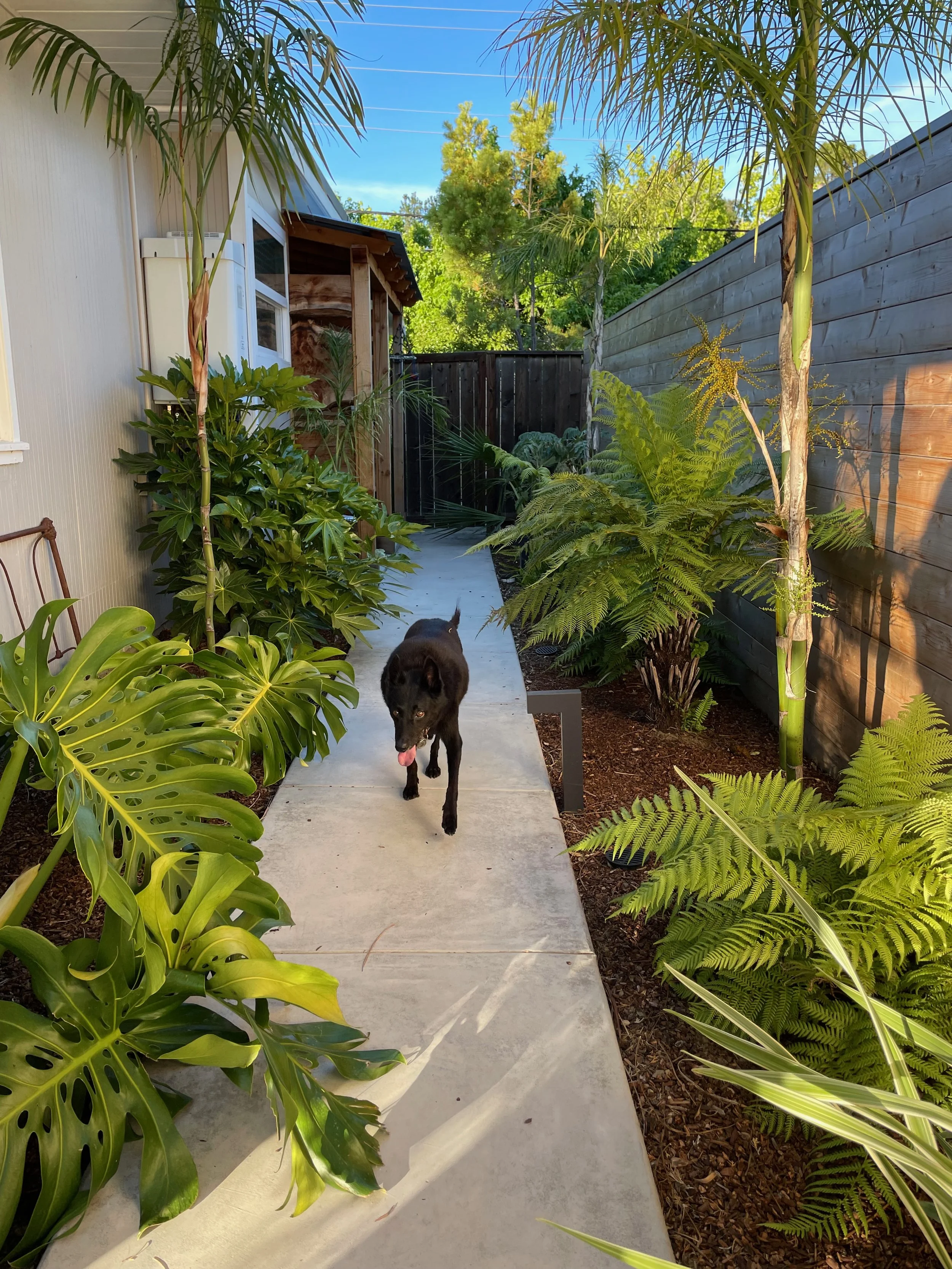 TerraLinda  - 59.jpeg