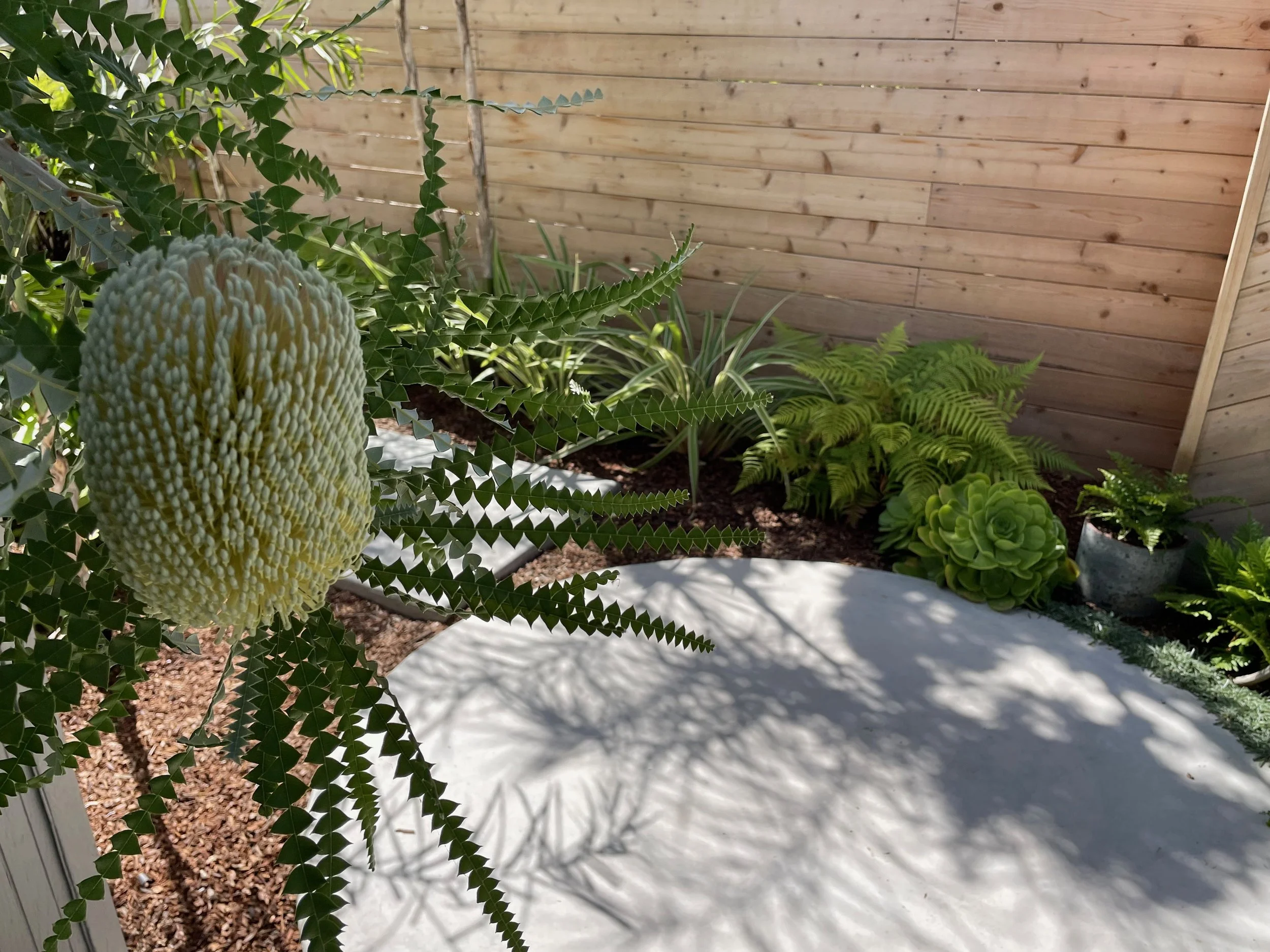 TerraLinda  - 65.jpeg