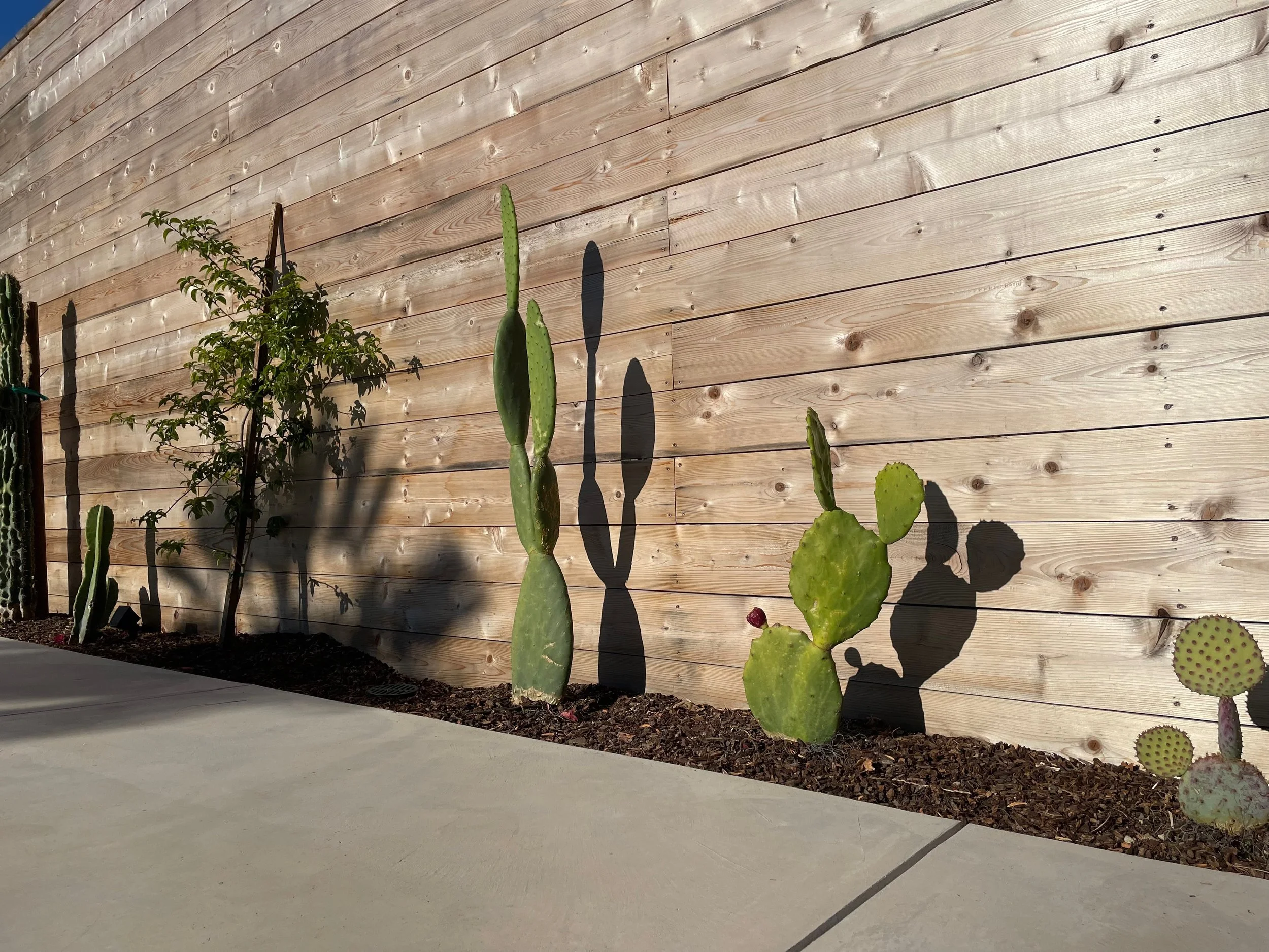 TerraLinda  - 64.jpeg