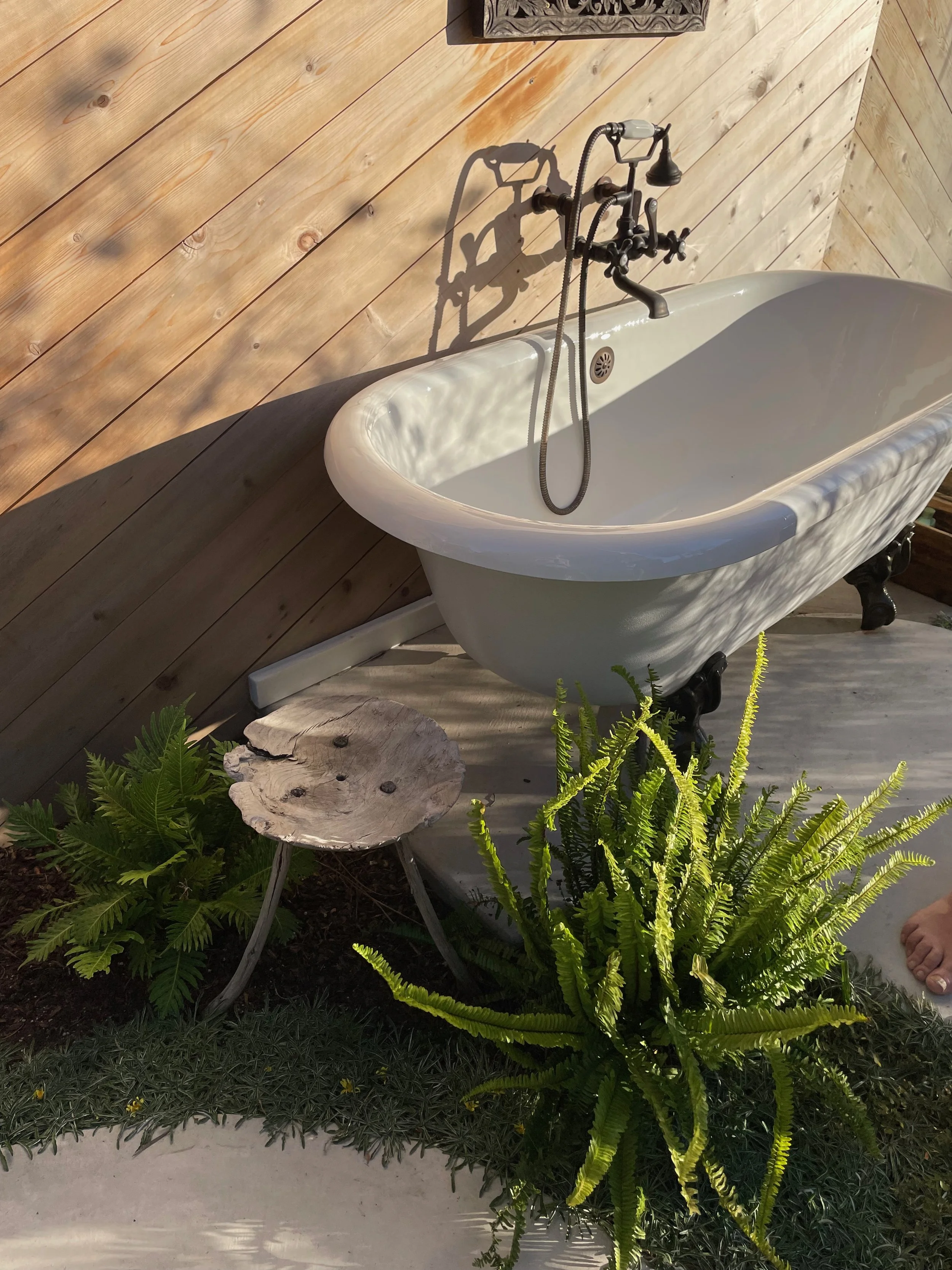 TerraLinda  - 60.jpeg