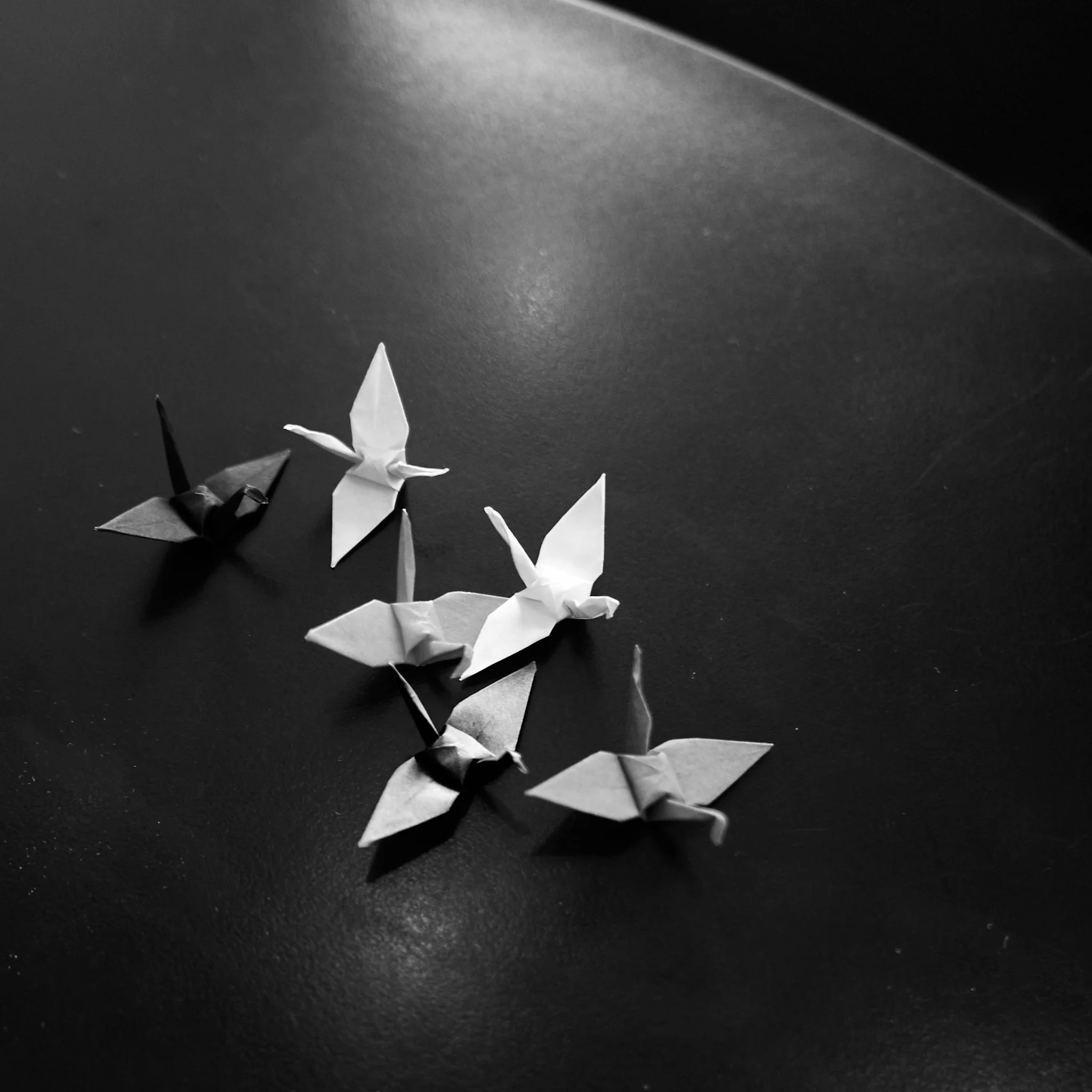 ErikRieseOrigami_25-09-25_L1024567.jpg