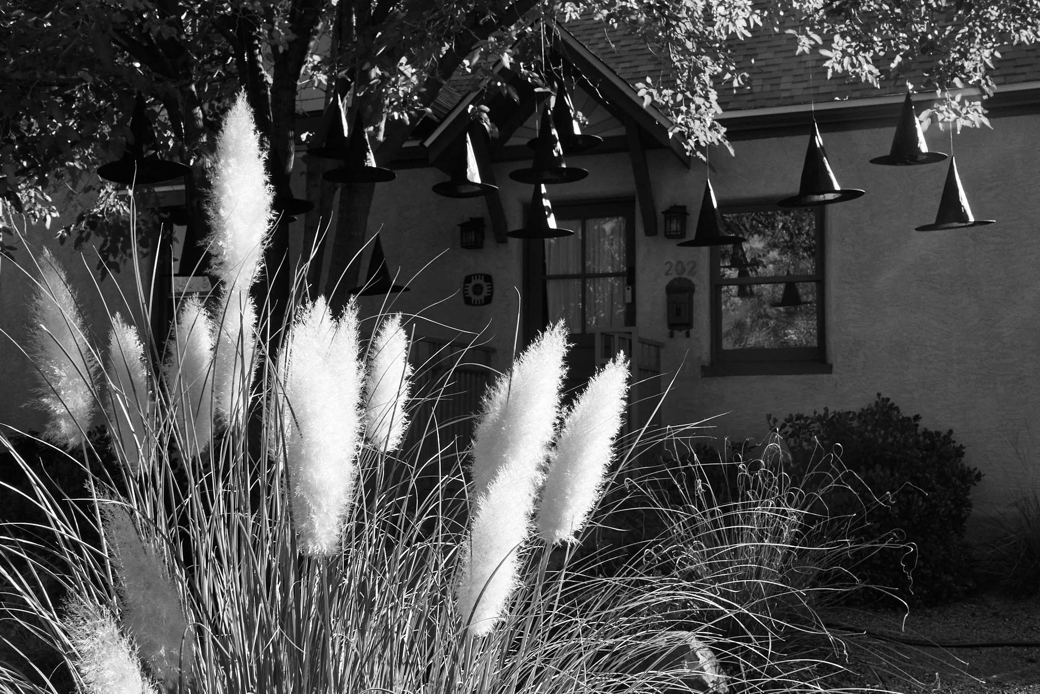 Albuquerque_25-11-02_L1024703.jpg