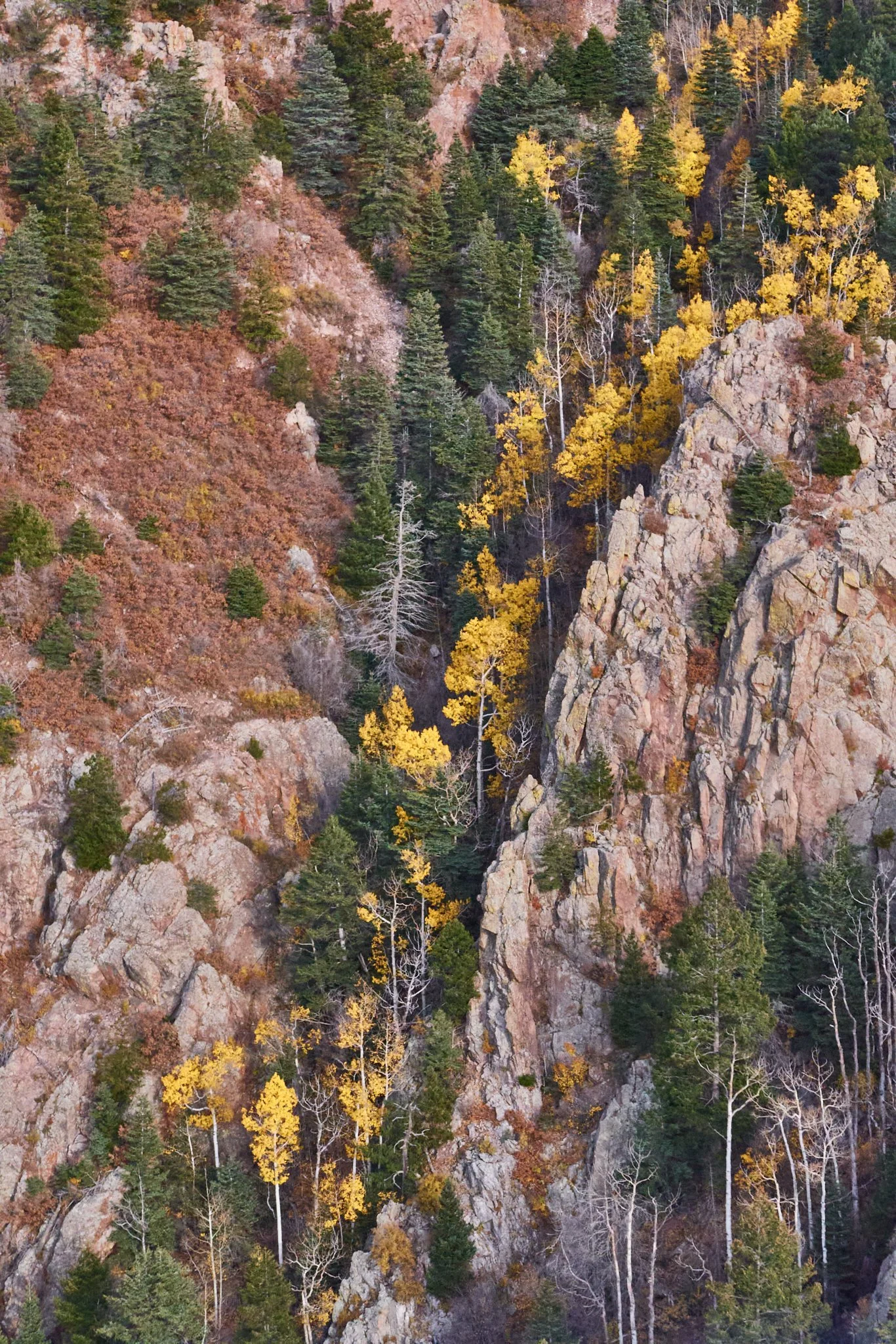 SandiaMountain_25-10-31_L1024665.jpg