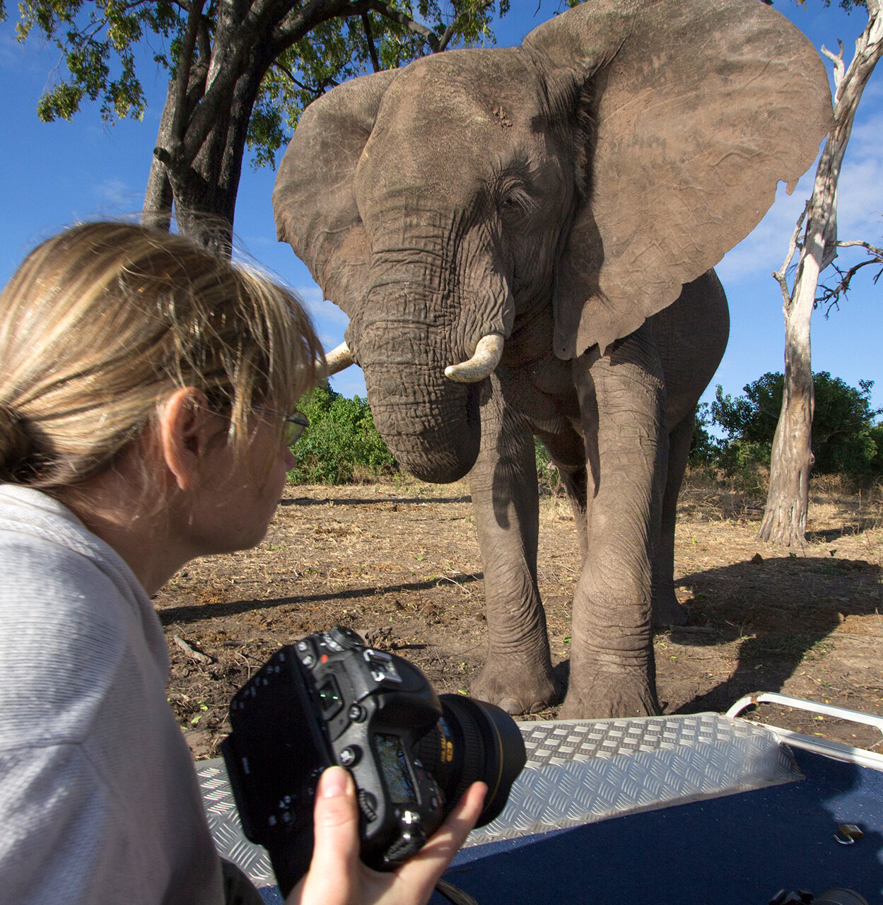  2014 - Shooting elephants in Chobe NP - Botswana.   