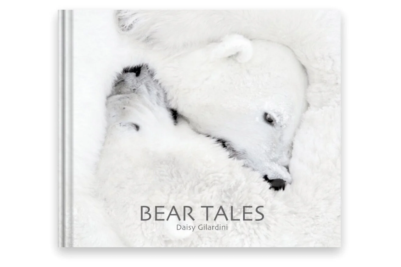 beartales-c.jpg
