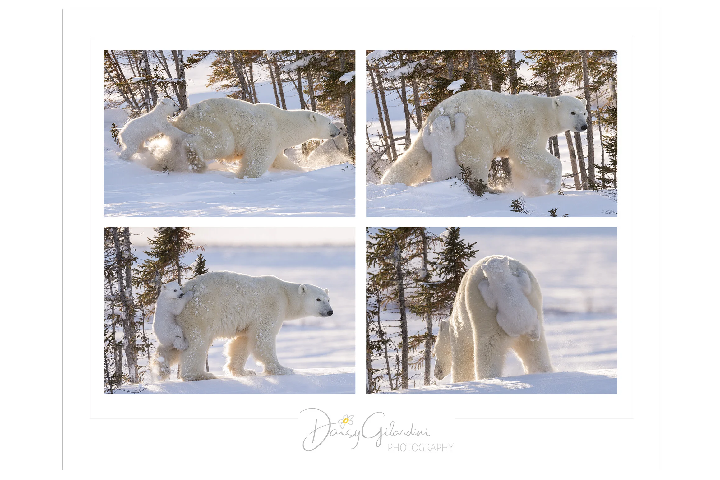 HITCHING A RIDE- final1920web.jpg
