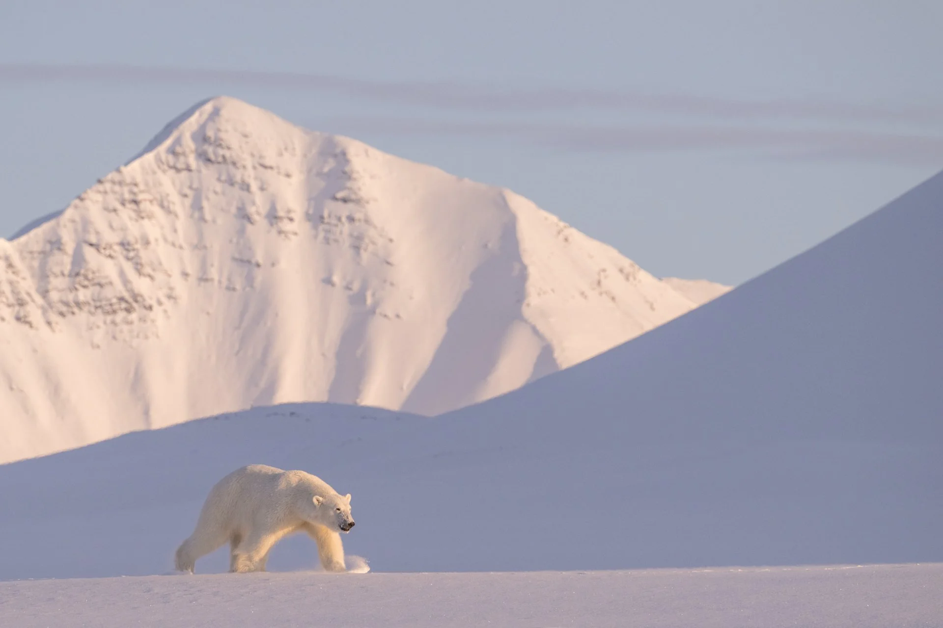 SVALBARD IN SPRING BY YACHT   