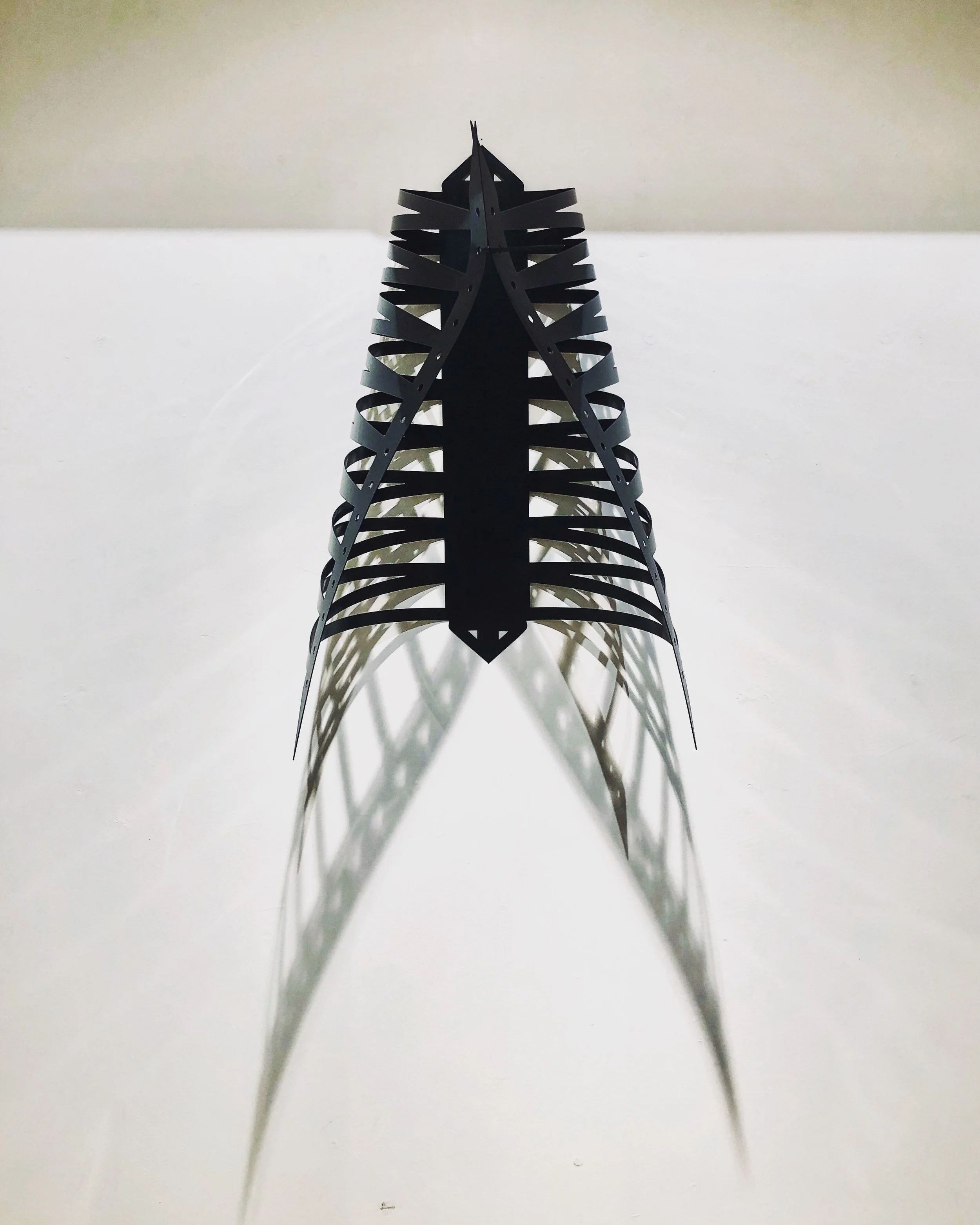 Andrea V Wright Nervure with shadow.jpeg