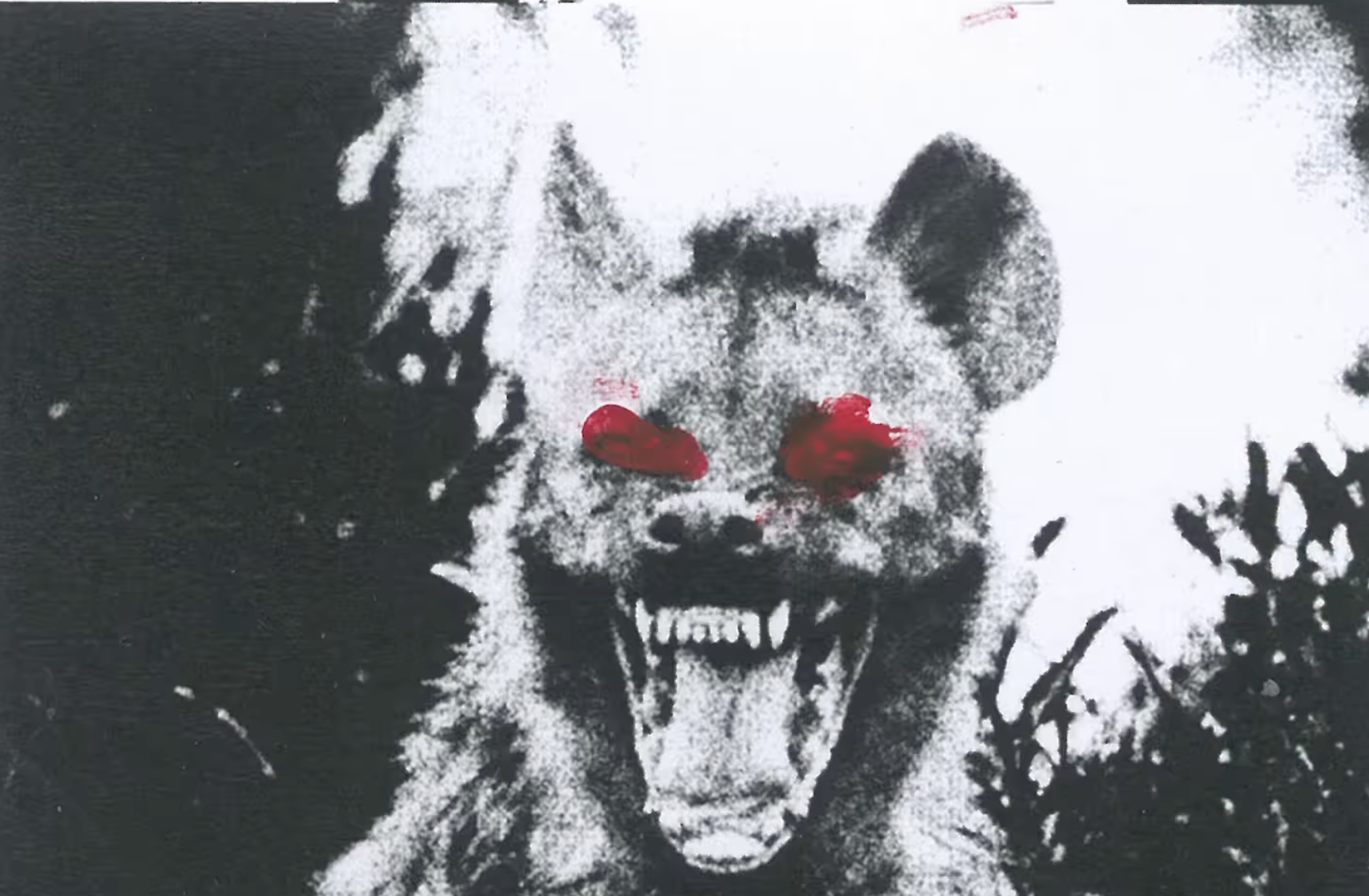 From Stop-Motion to the Senses: SH13’s Artful Beginnings