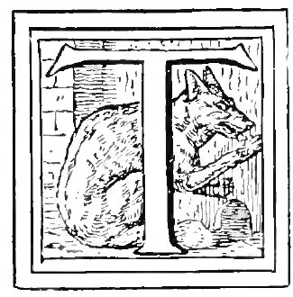 The Wolf and the 7 Little Goats