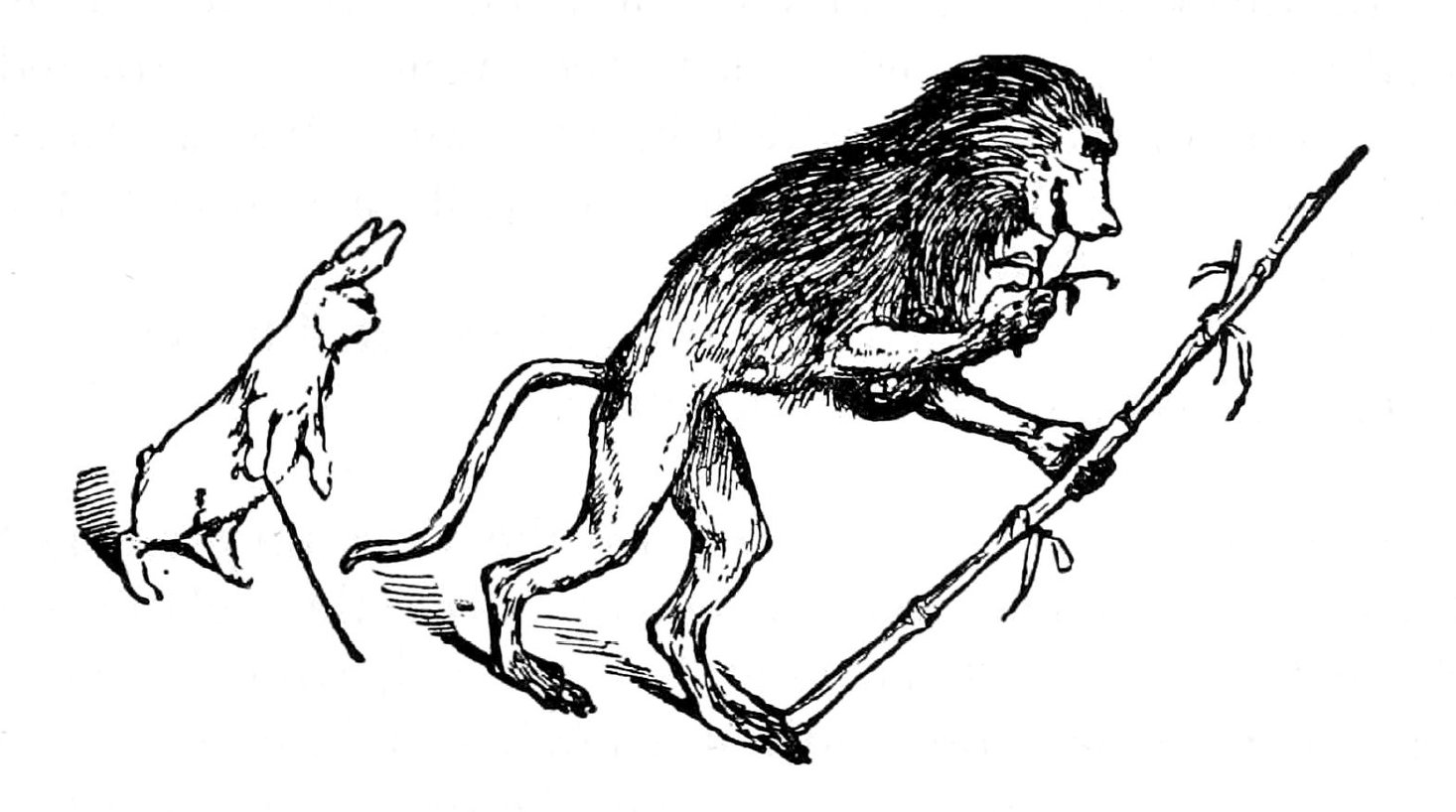 How Isuru the Rabbit Tricked Gudu