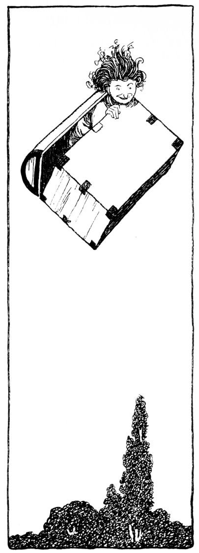 The Flying Trunk