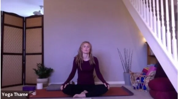Hatha Flow Yoga with Jo 31.3.20