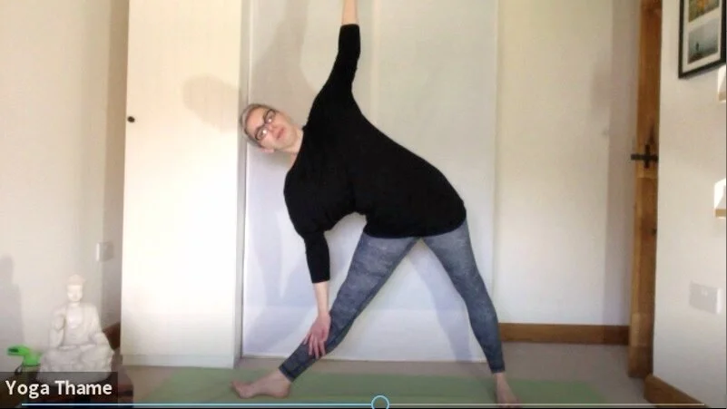Hatha Yoga with Vicki 2.4.20