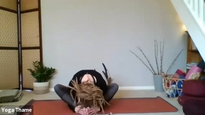 Gentle Yoga with Jo 3.4.20
