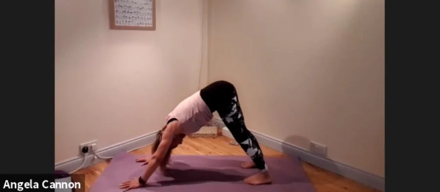 Hatha Yoga with Angela 6.4.20
