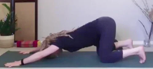 Hatha Yoga with Jo 19.8.20