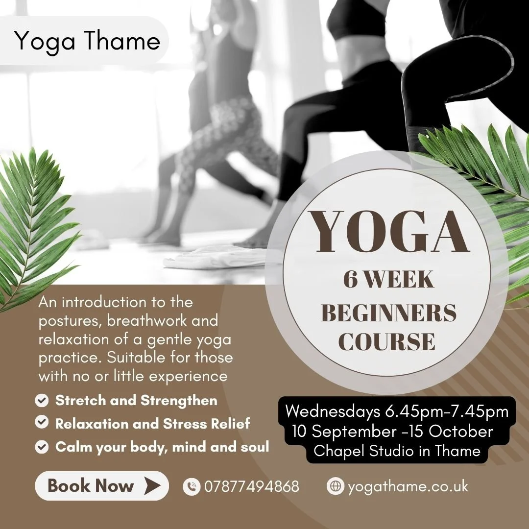 6 Week Beginners Yoga Course