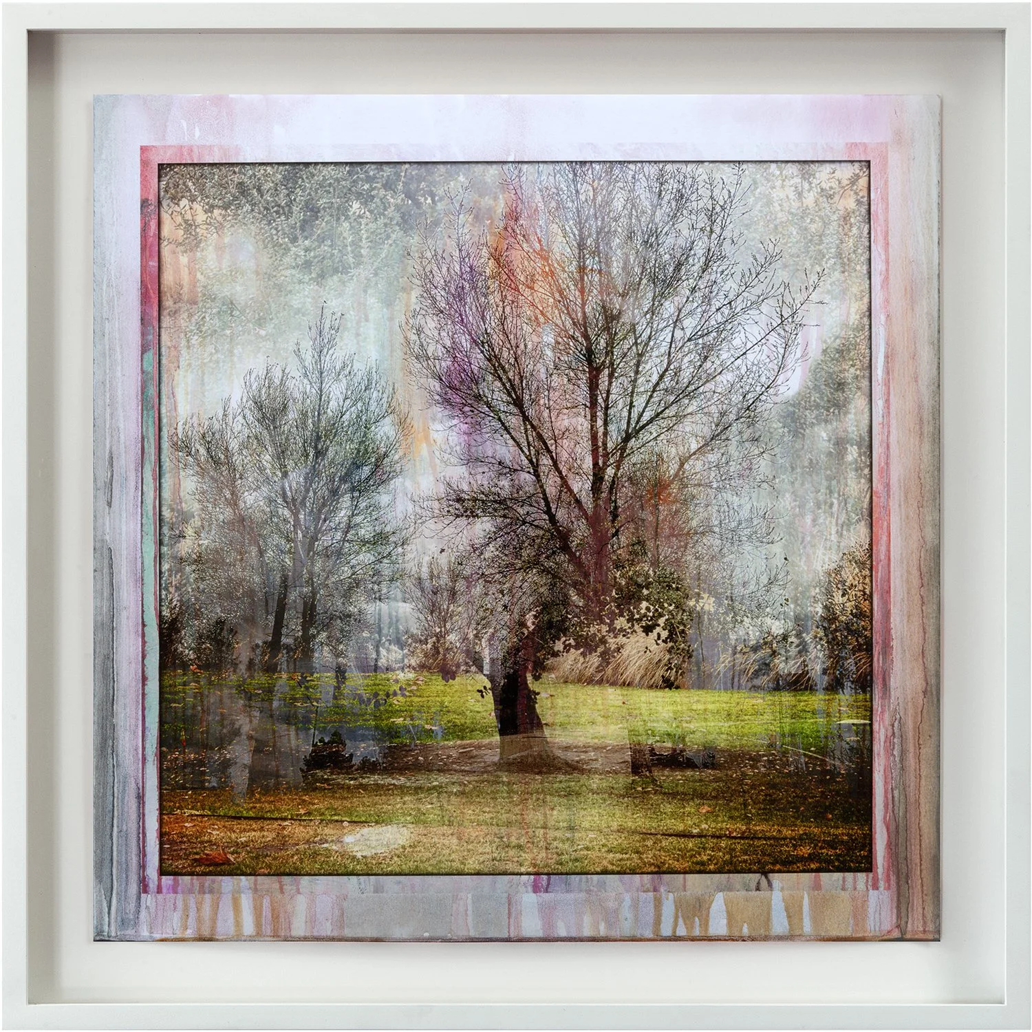 LFFP202501_Fusion_Elysian_Park_02B_2025_1of3_oilonpigmentprint_20x20_frmd.jpg