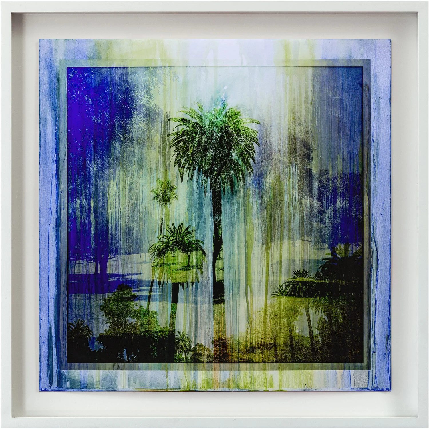 LFFP202506_Fusion_LA_Palms_01B_2024-25_1of3_oilonpigmentprint_20x20_frmd.jpg