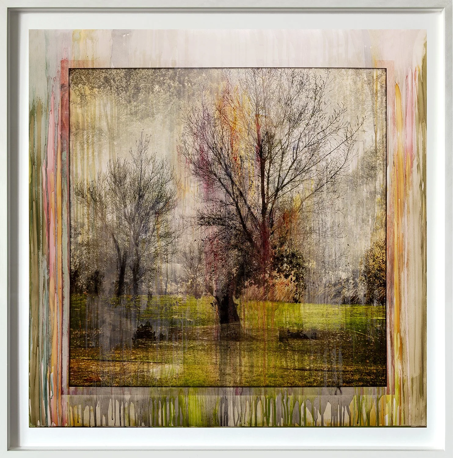 LFFP202517_Fusion_Elysian_Park_02B_2025_1of3_oilonpigmentprint_40x40_frmd.jpg