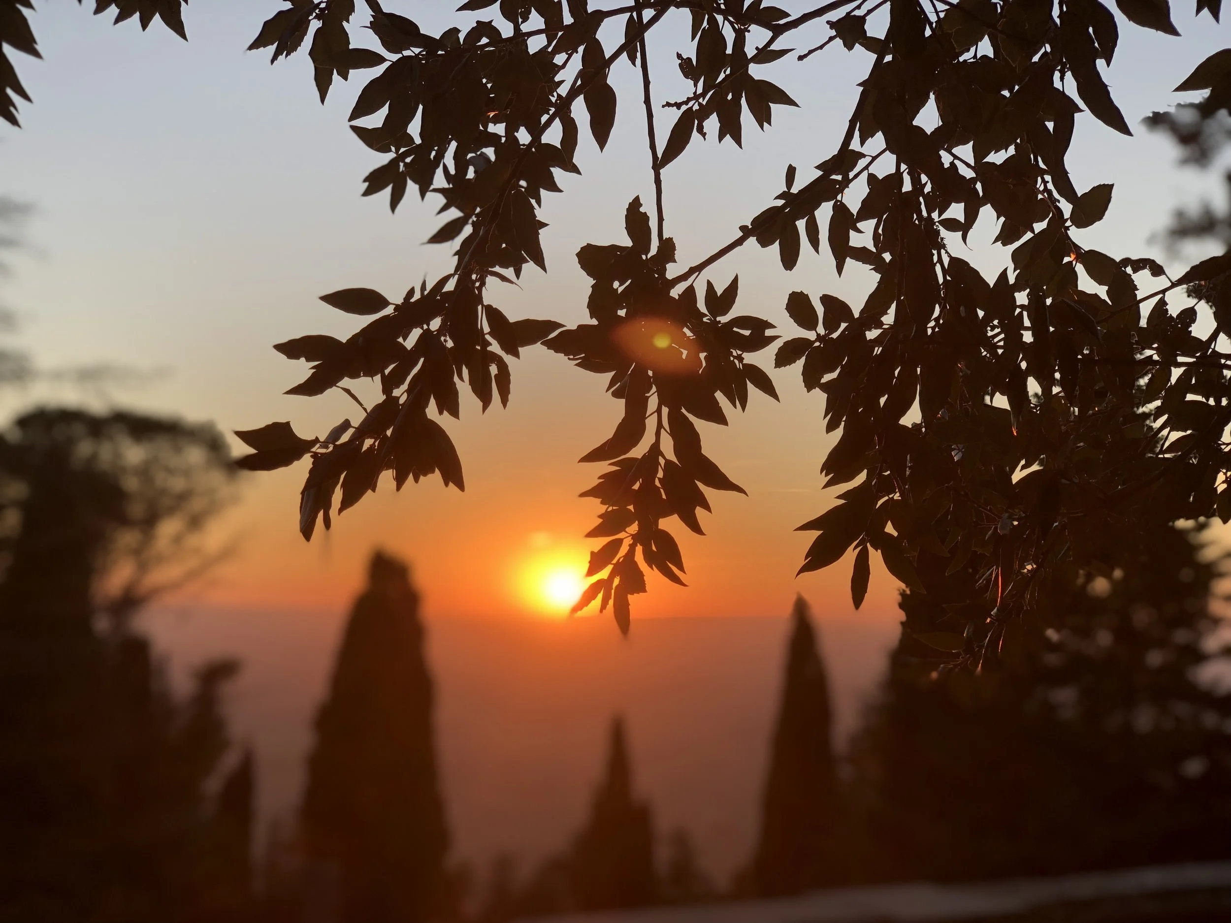 Go: Where to visit, stay, and eat in Cortona, Italy